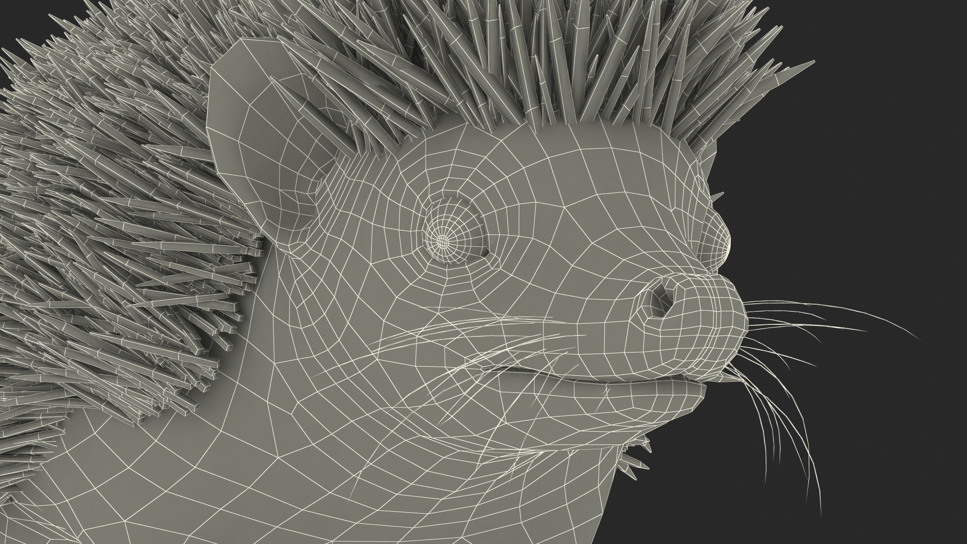 3D Hedgehog Black Fur model