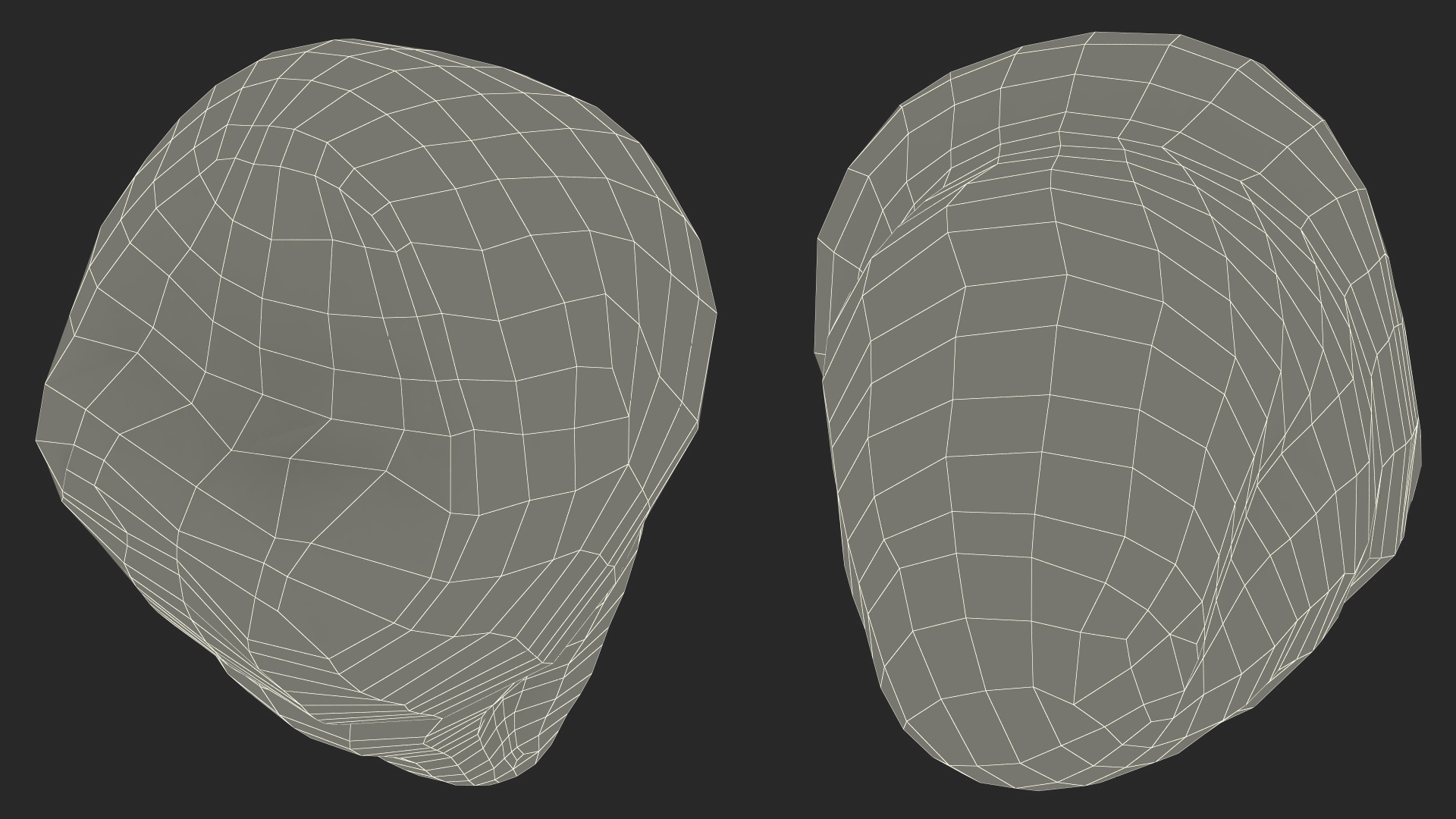 3D Canine Tooth Human model