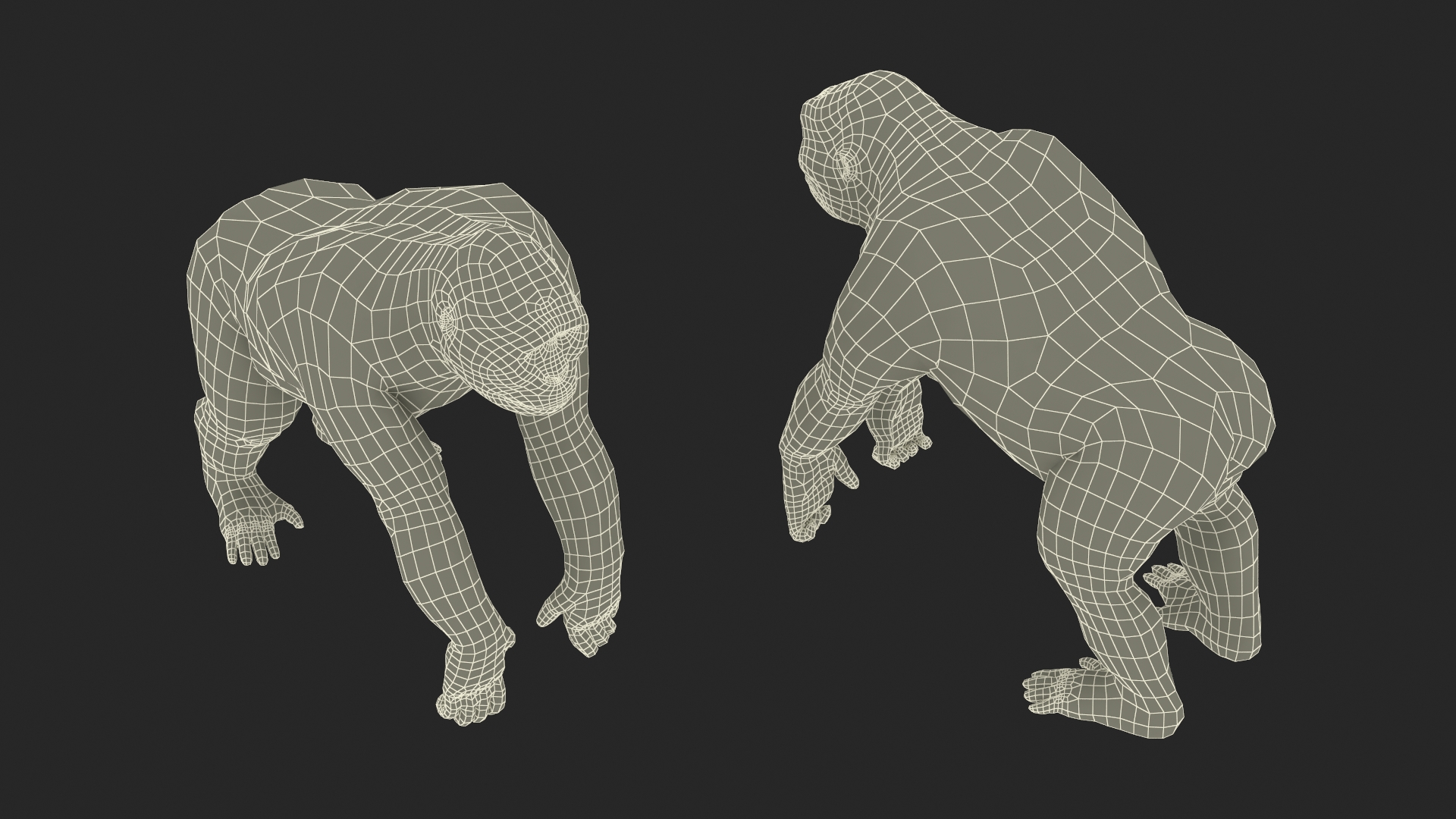 Big Ape Gigantopithecus Stands on Four Limbs 3D model