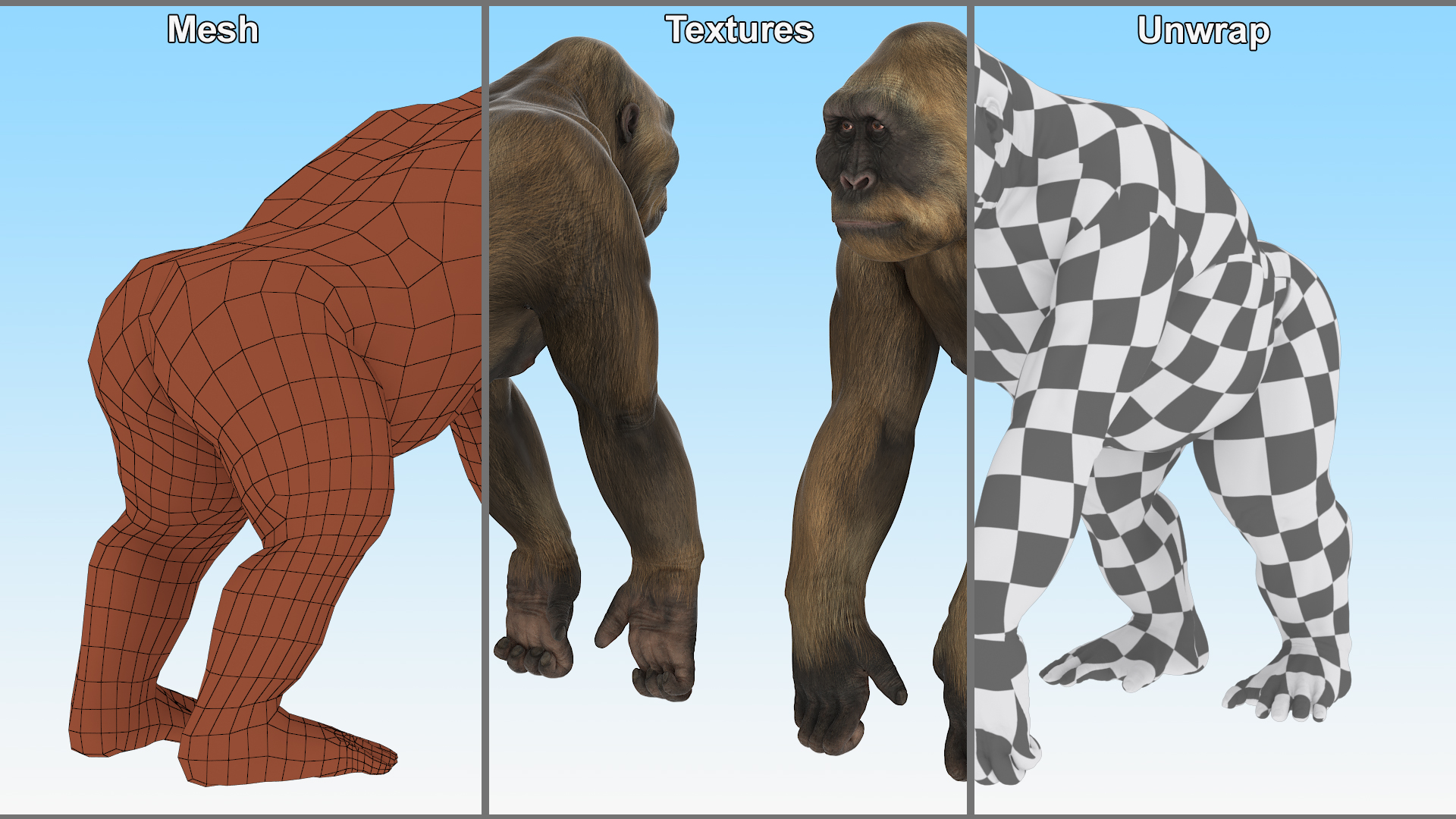 Big Ape Gigantopithecus Stands on Four Limbs 3D model