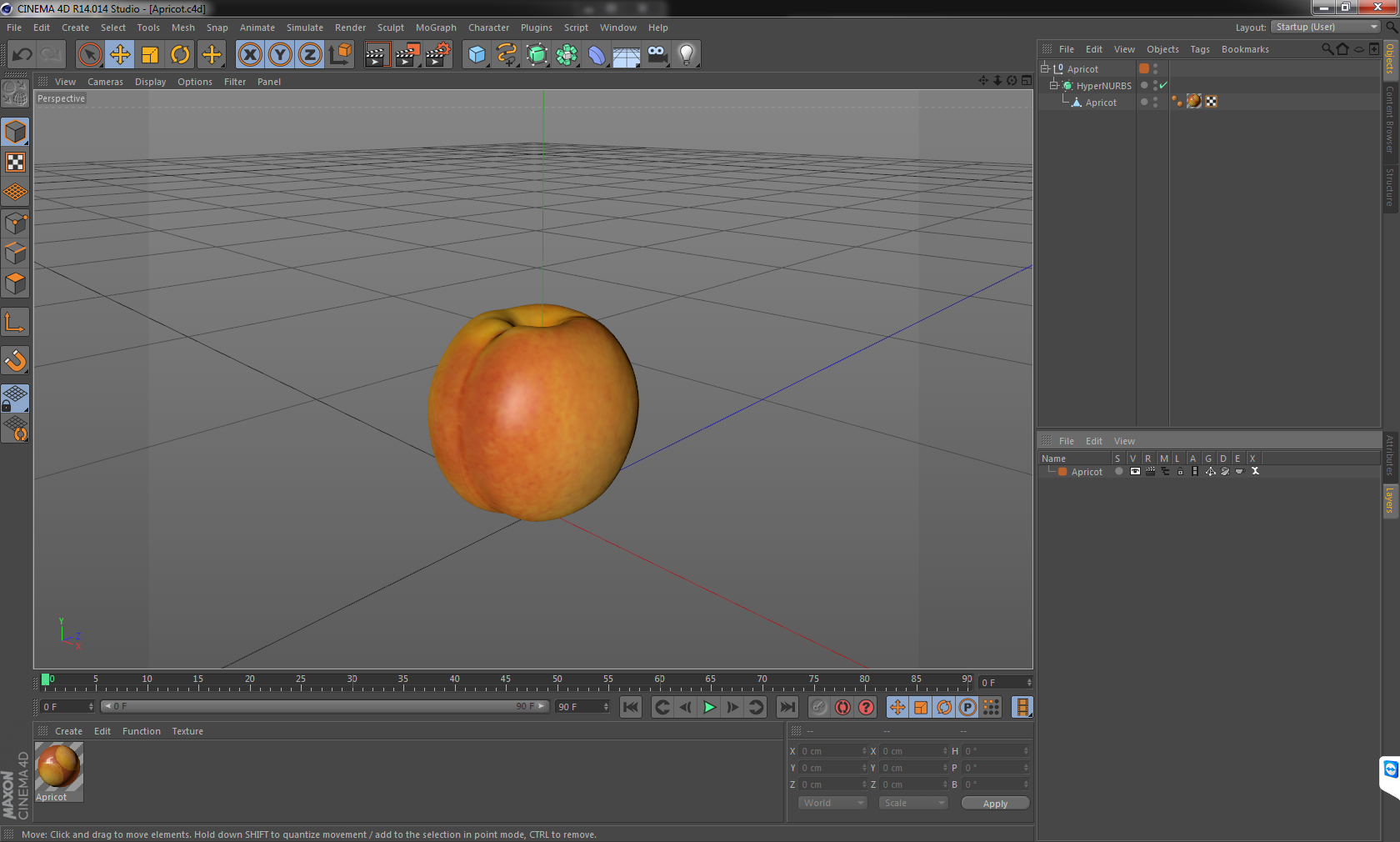 Apricot 3D model