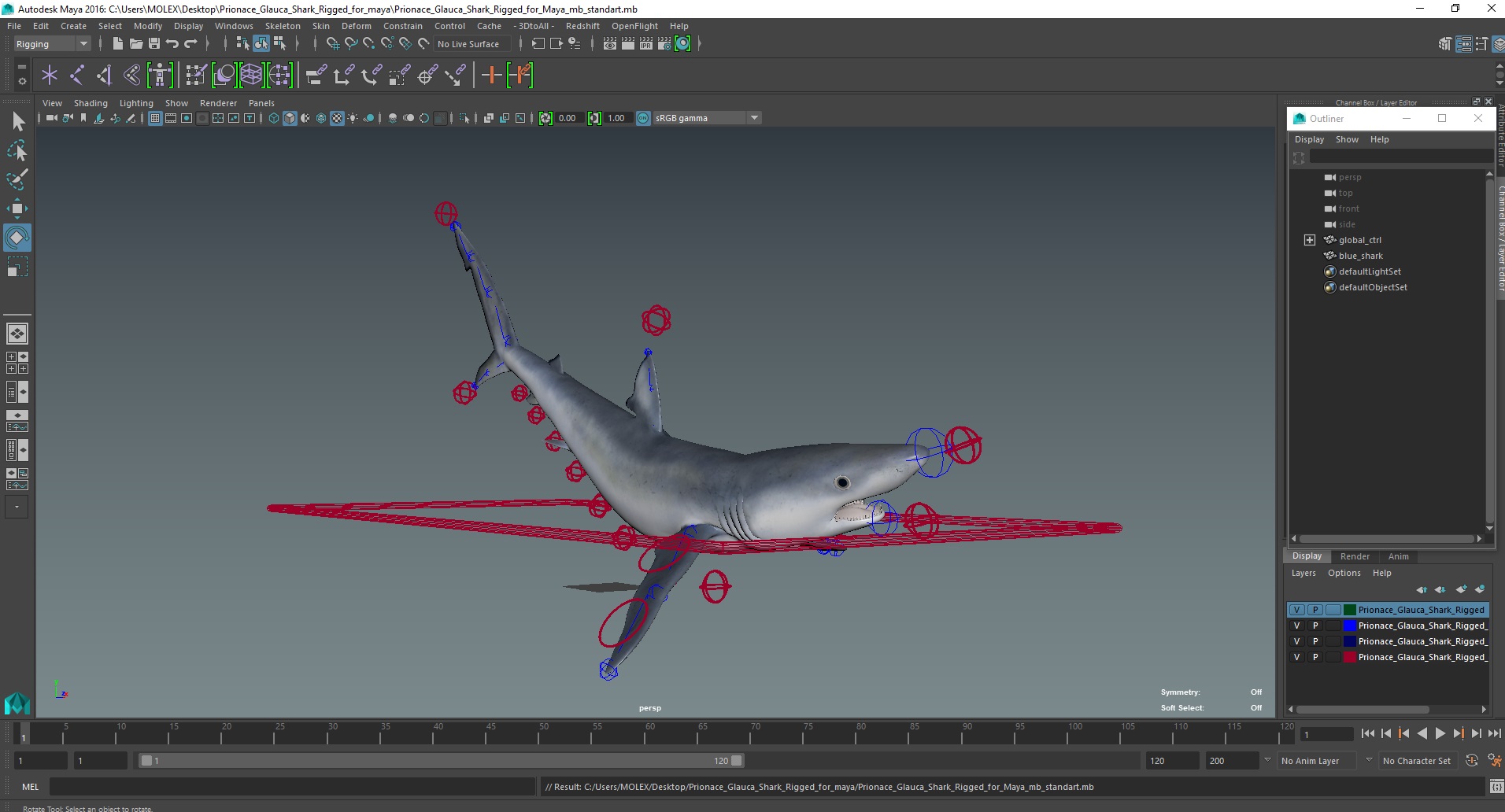 Prionace Glauca Shark Rigged for Maya 3D