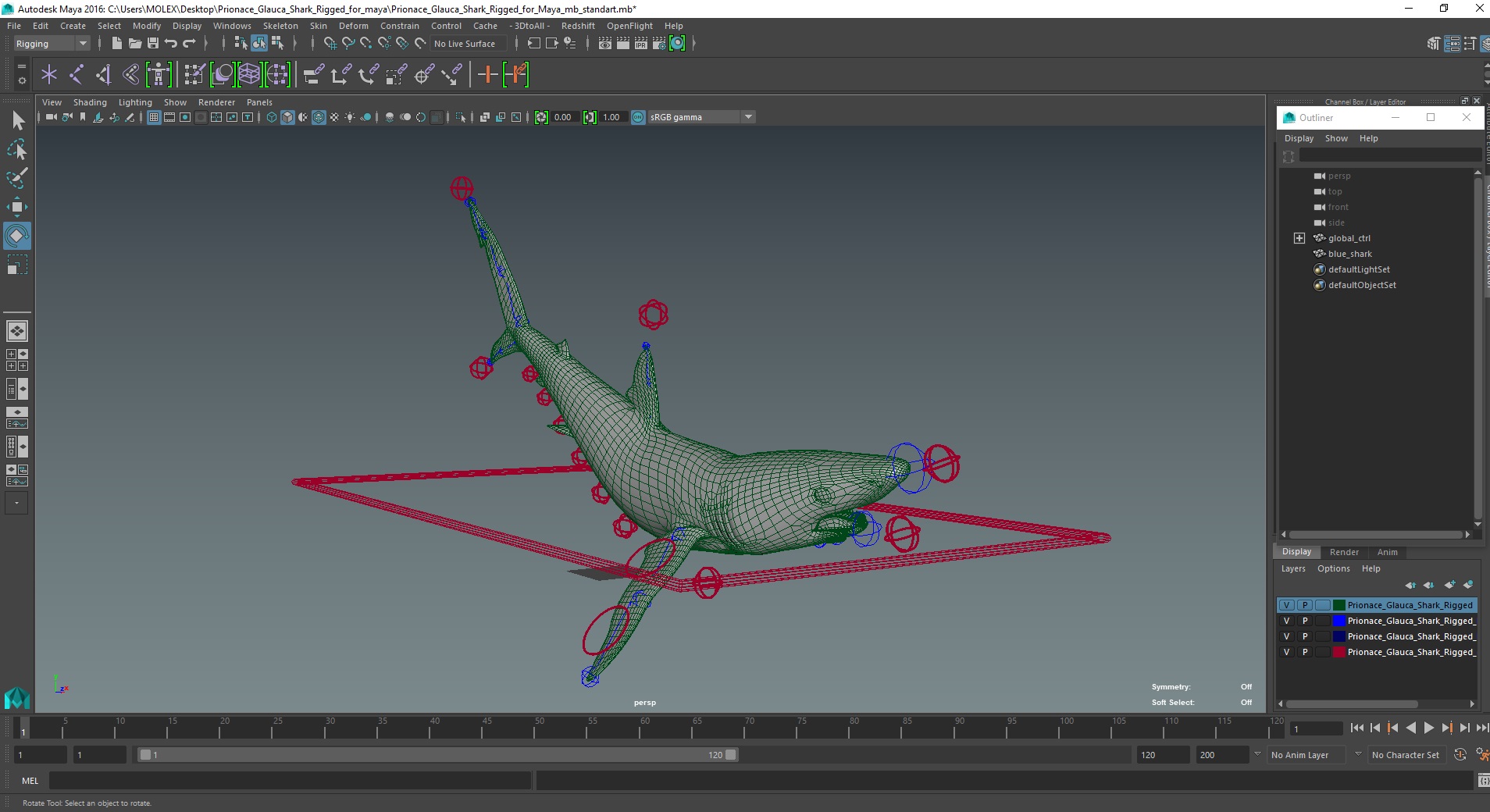 Prionace Glauca Shark Rigged for Maya 3D