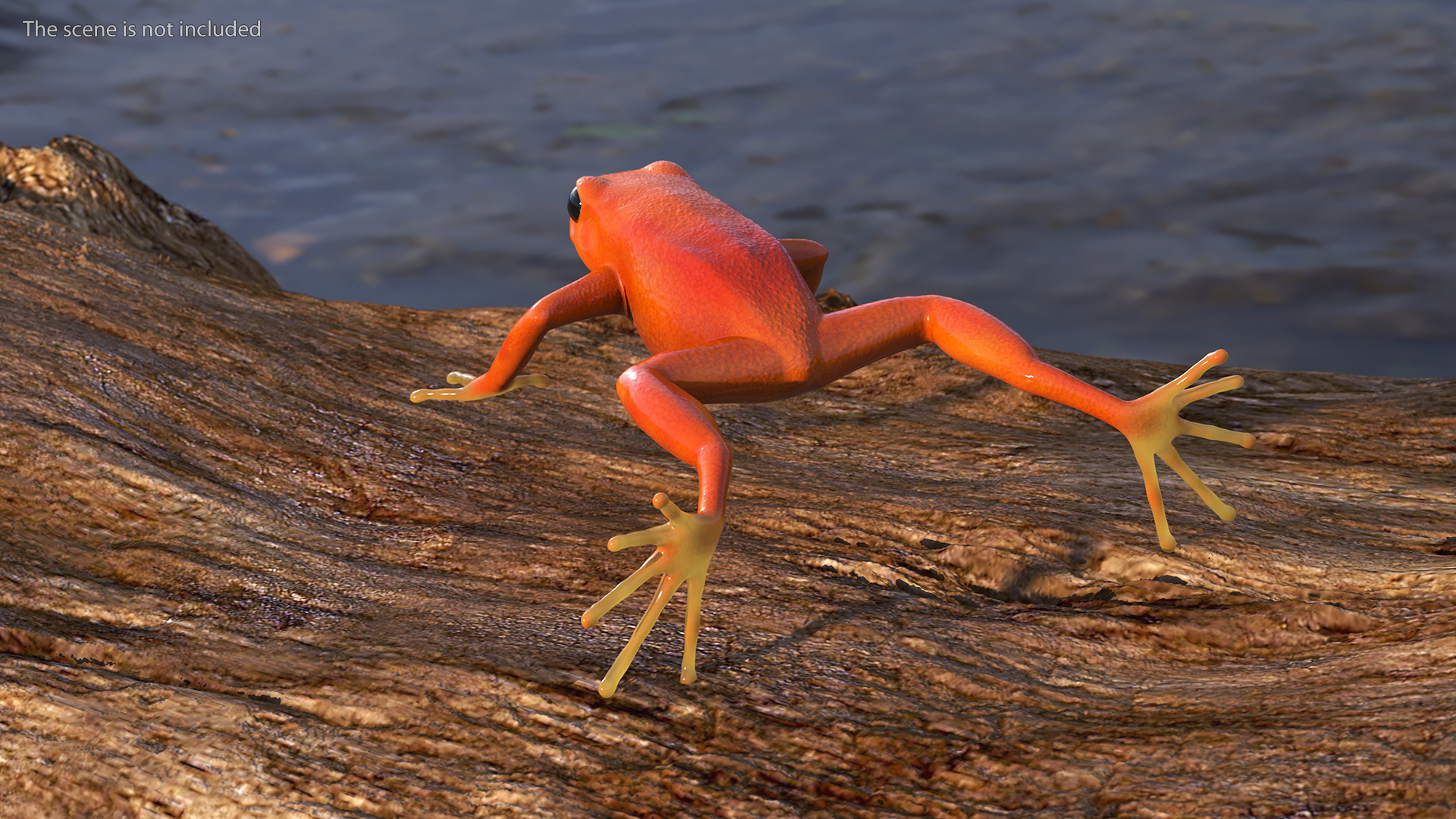 3D Realistic Golden Frog