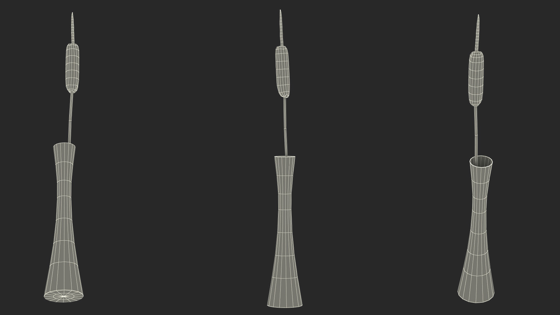 Typha Latifolia in Glass Vase 3D model