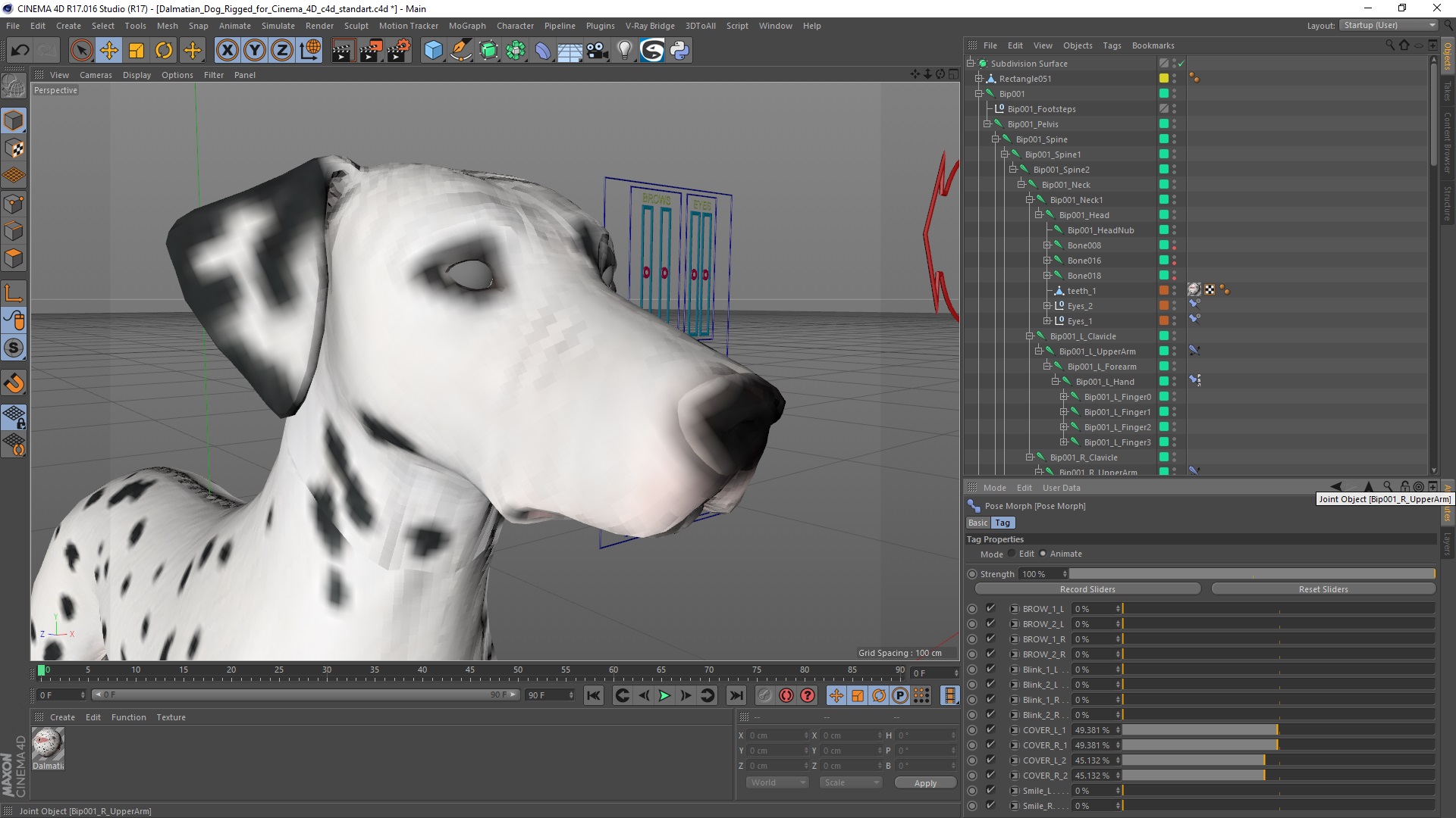 Dalmatian Dog Rigged for Cinema 4D 3D model