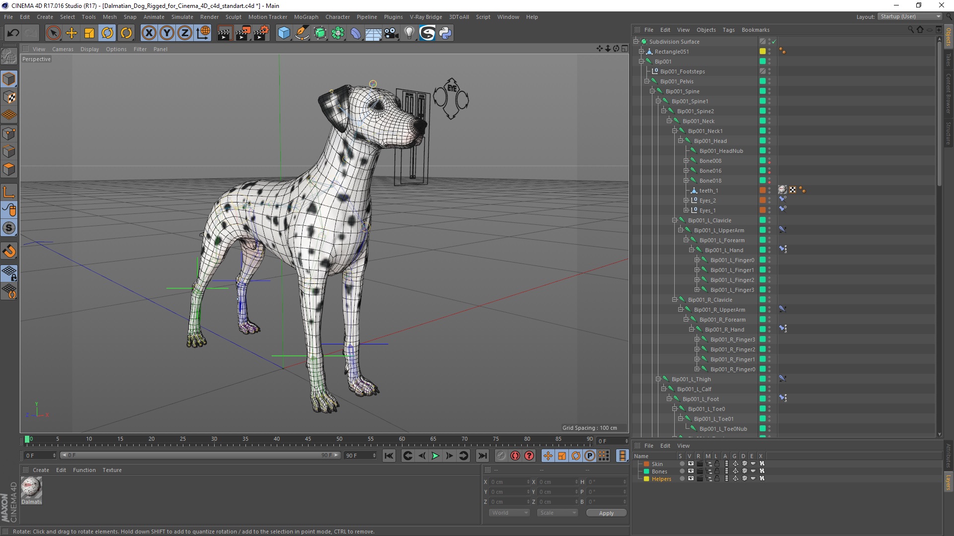 Dalmatian Dog Rigged for Cinema 4D 3D model