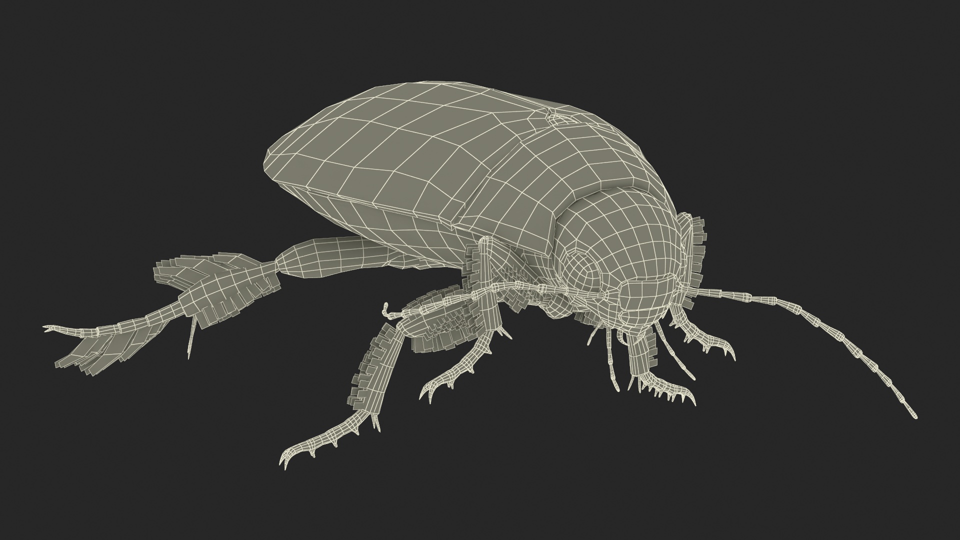 Aquatic Beetle Beige Floating 3D model