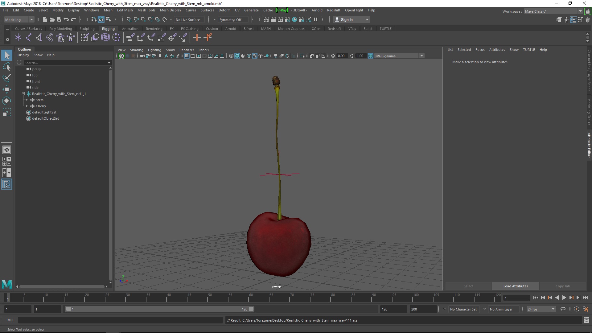 3D Realistic Cherry with Stem