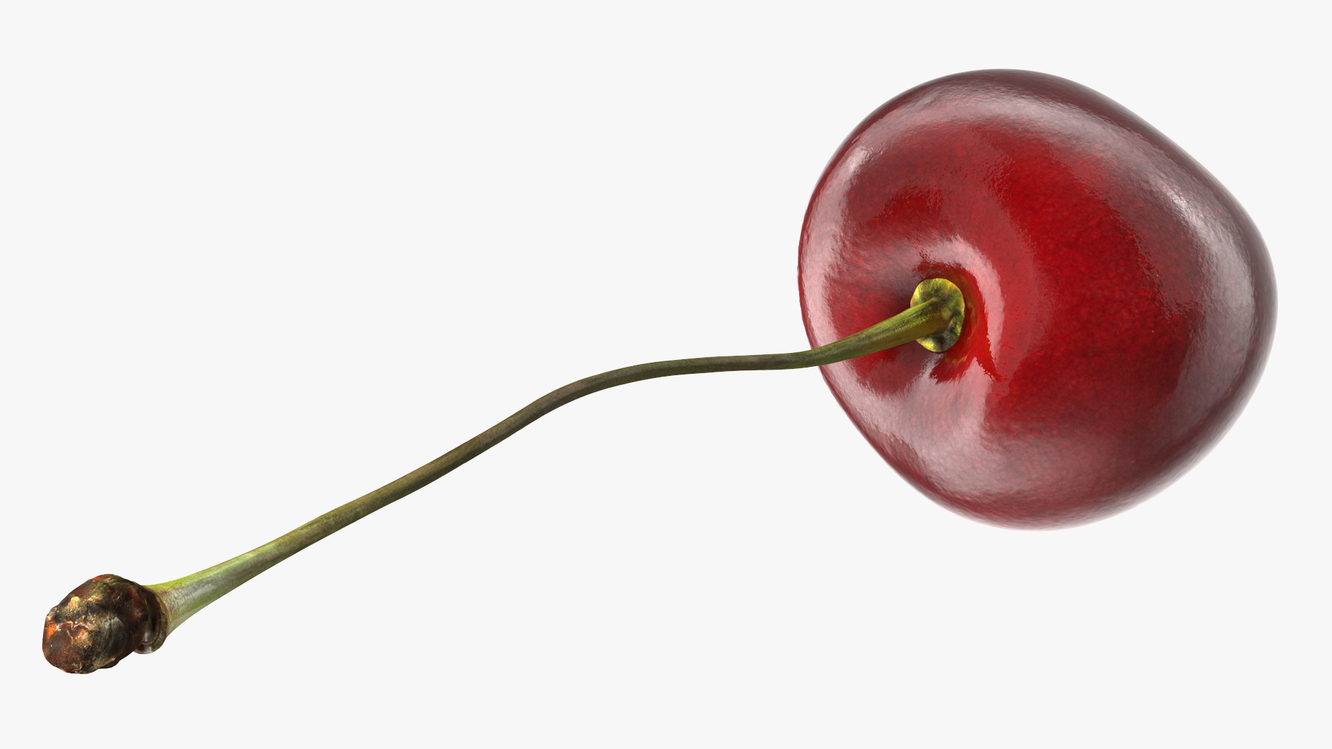 3D Realistic Cherry with Stem