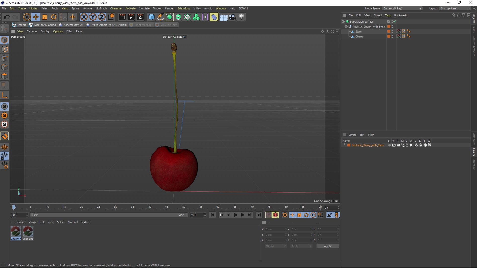 3D Realistic Cherry with Stem