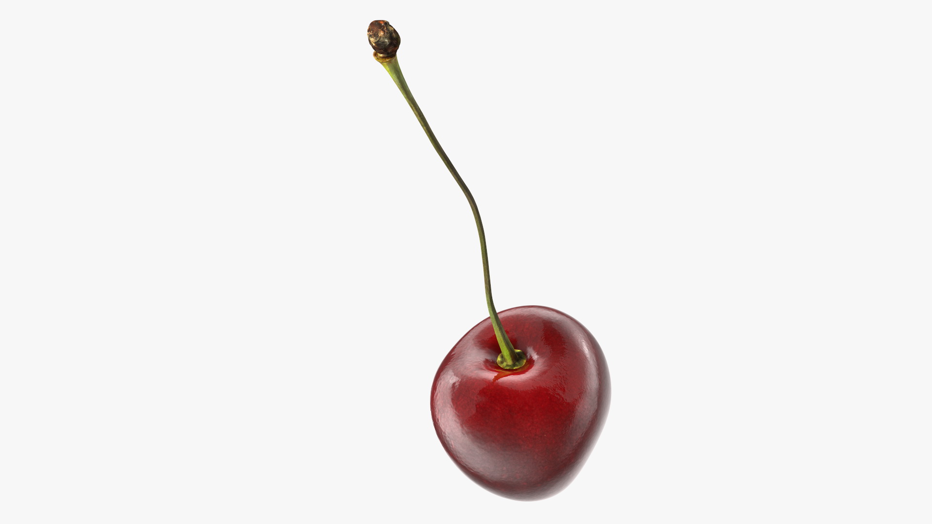 3D Realistic Cherry with Stem