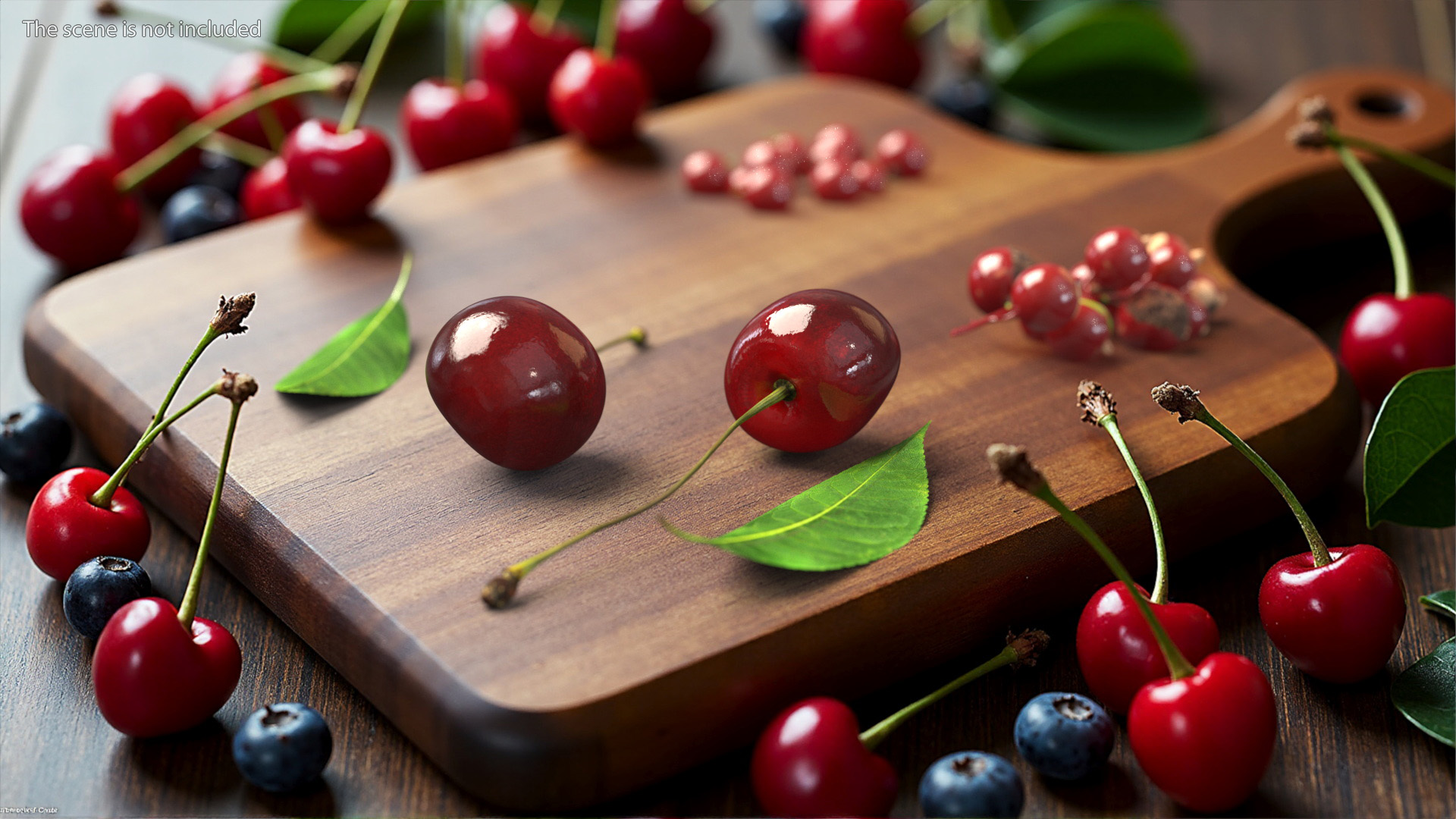 3D Realistic Cherry with Stem