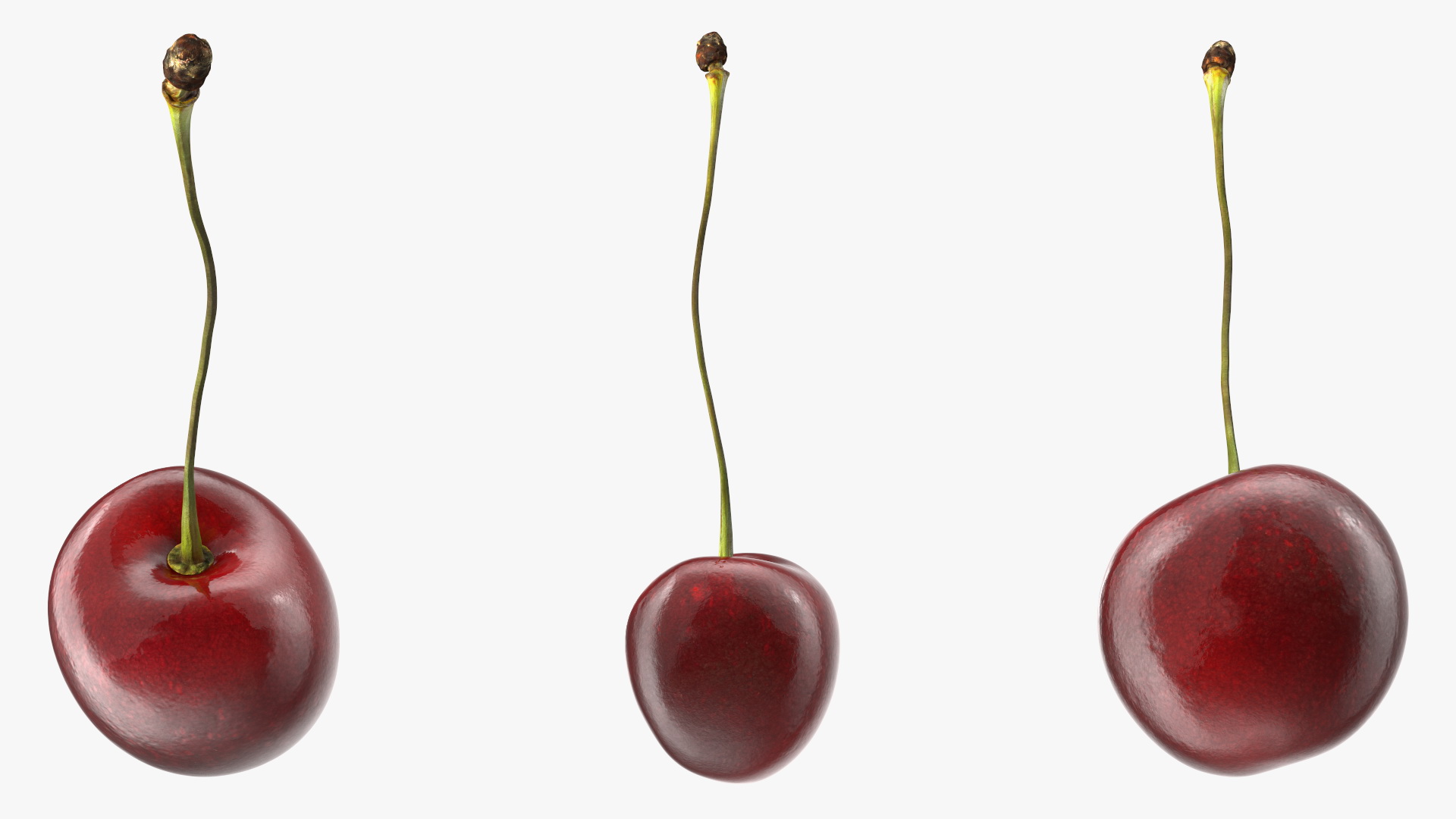 3D Realistic Cherry with Stem