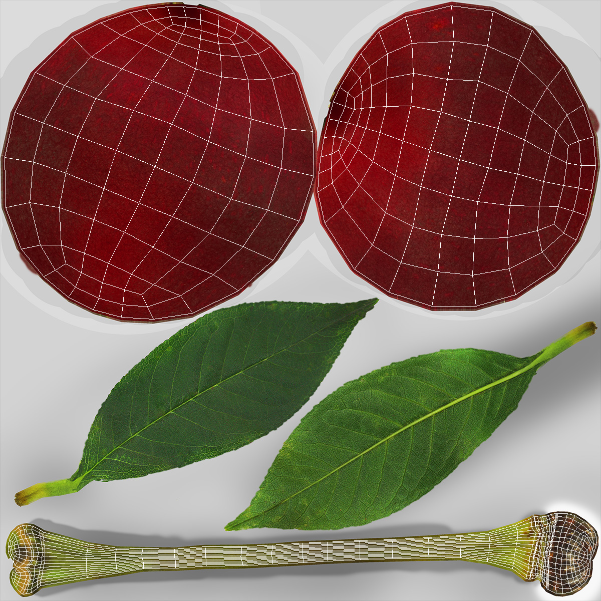 3D Realistic Cherry with Stem