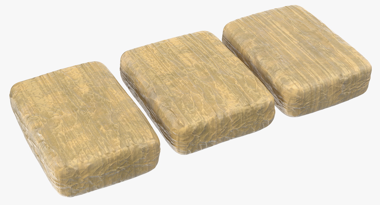 Cocaine Bricks 3D model