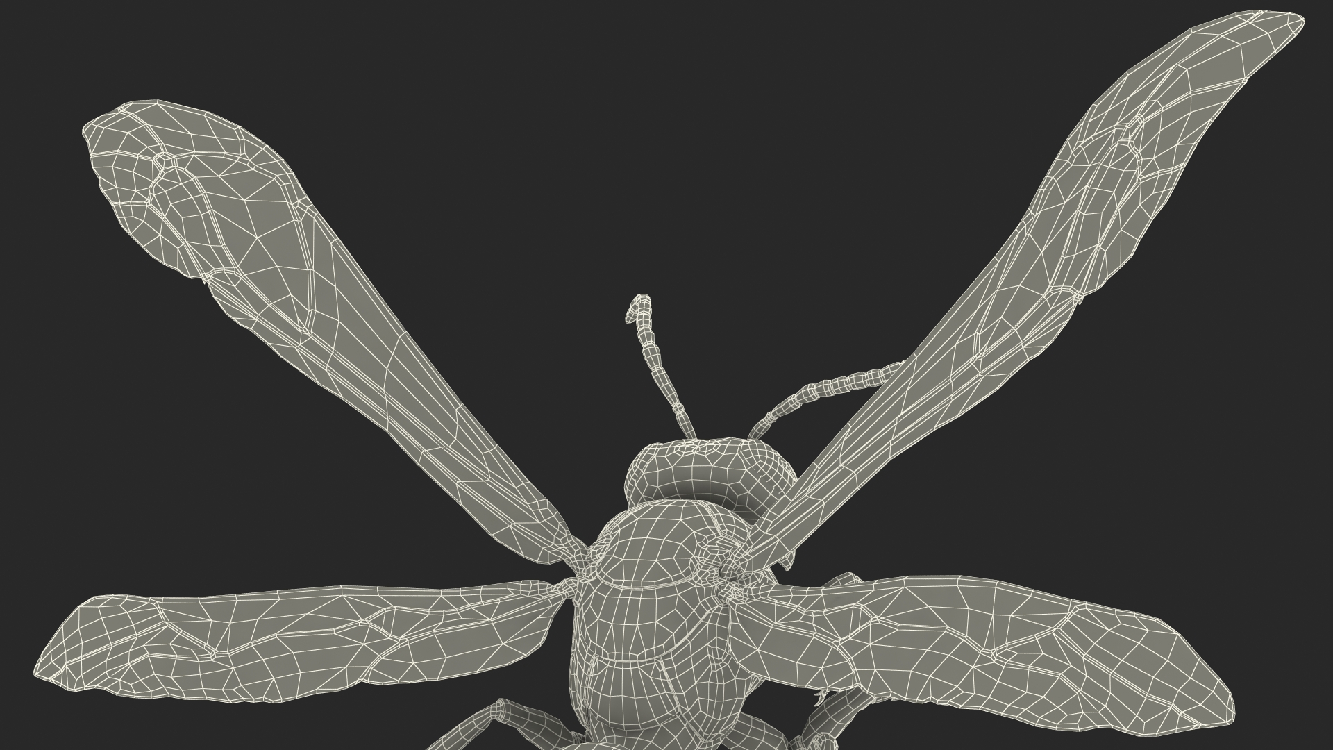 Wasp Attacking Pose 3D model