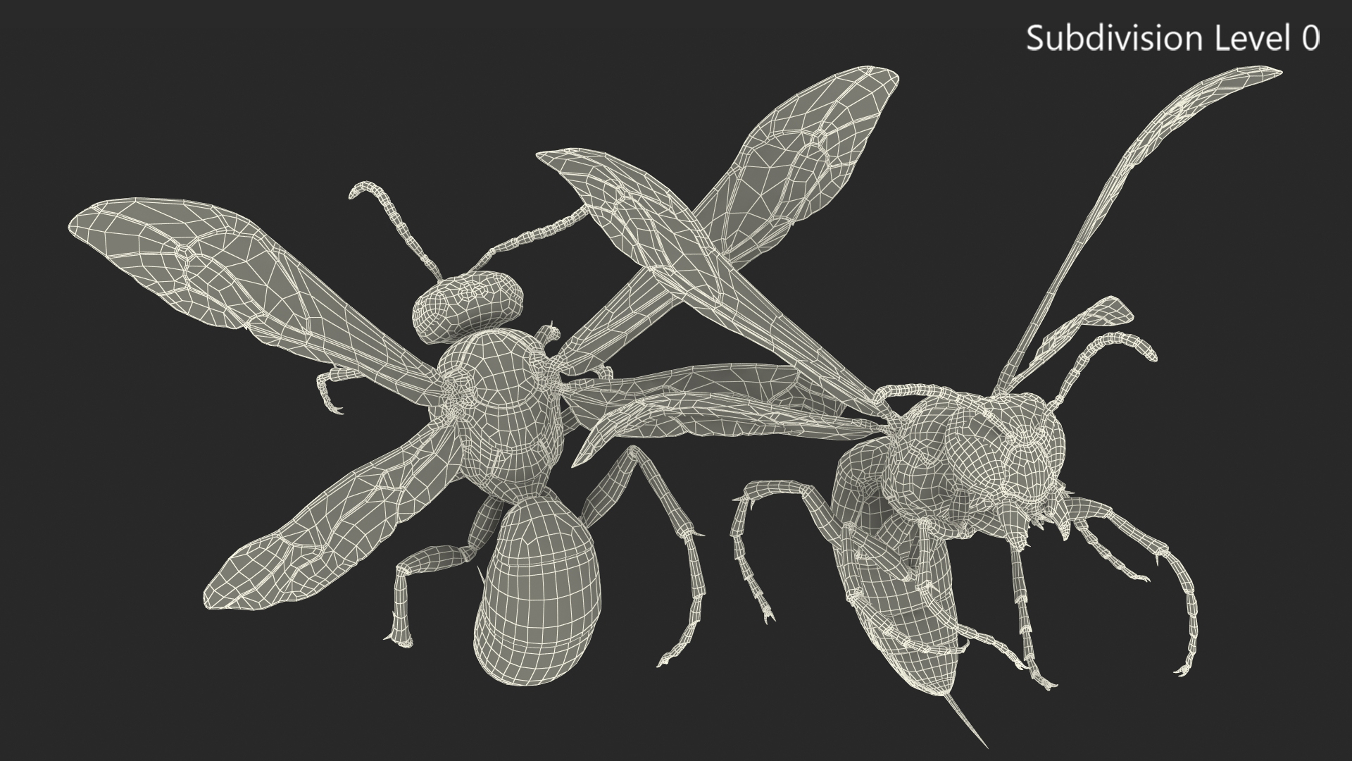 Wasp Attacking Pose 3D model