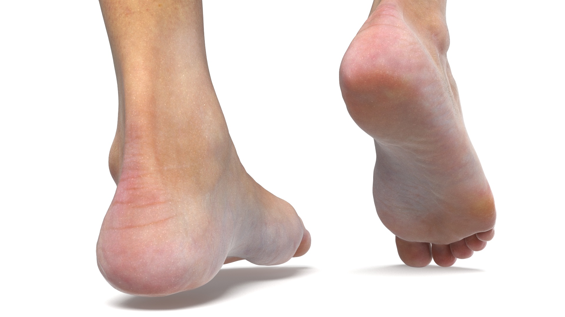 3D model Female Legs in Flip-Flops