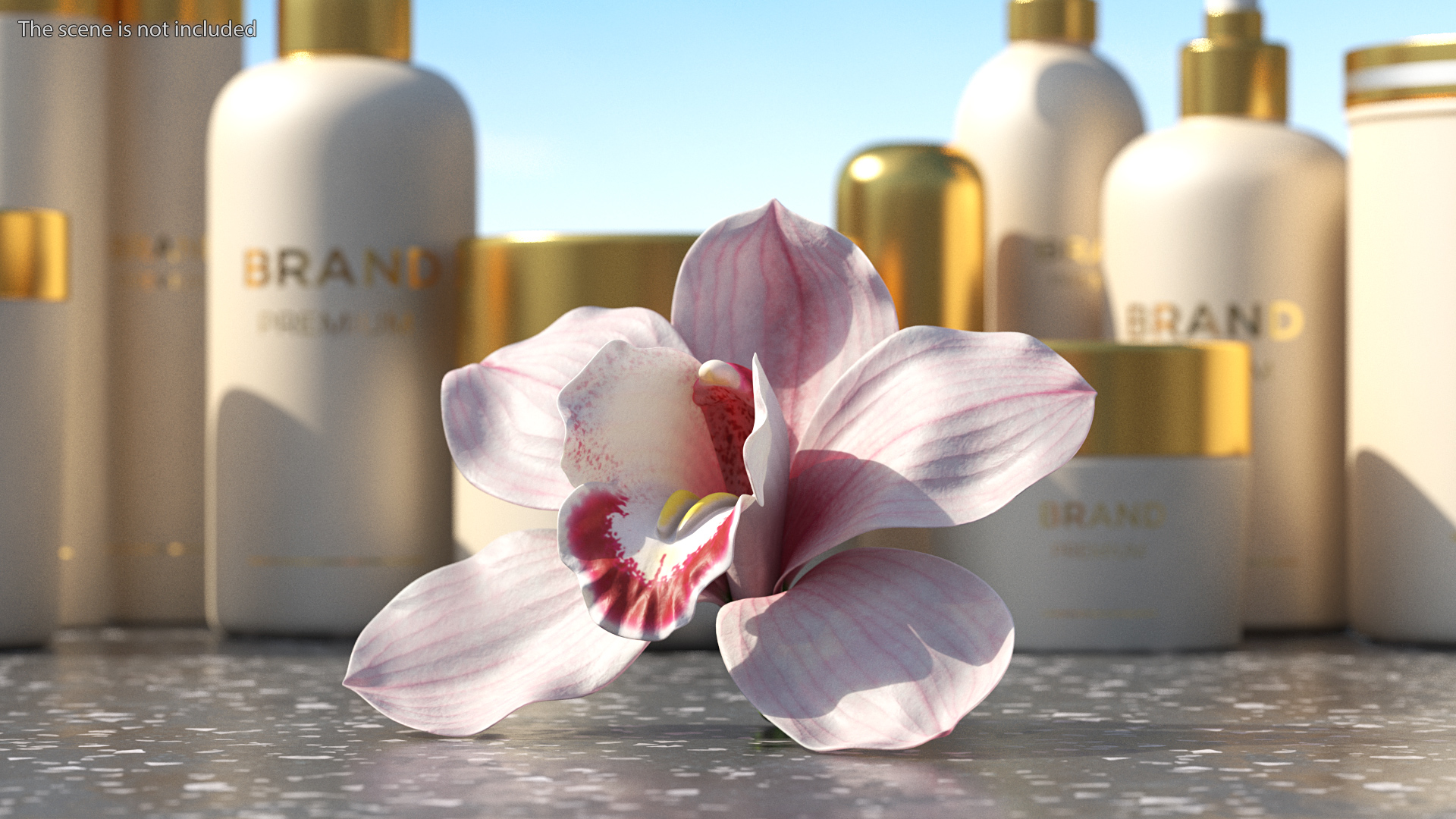 3D Hybrid Orchid Pink model