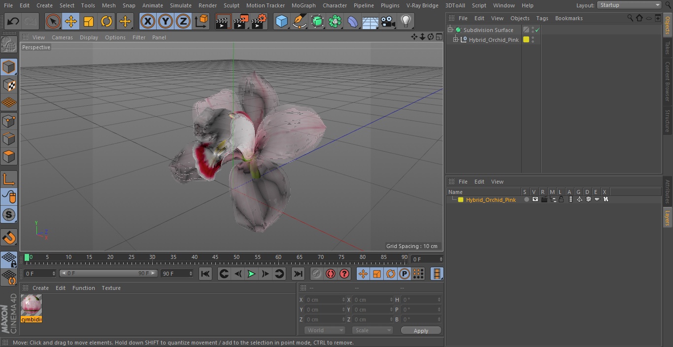 3D Hybrid Orchid Pink model