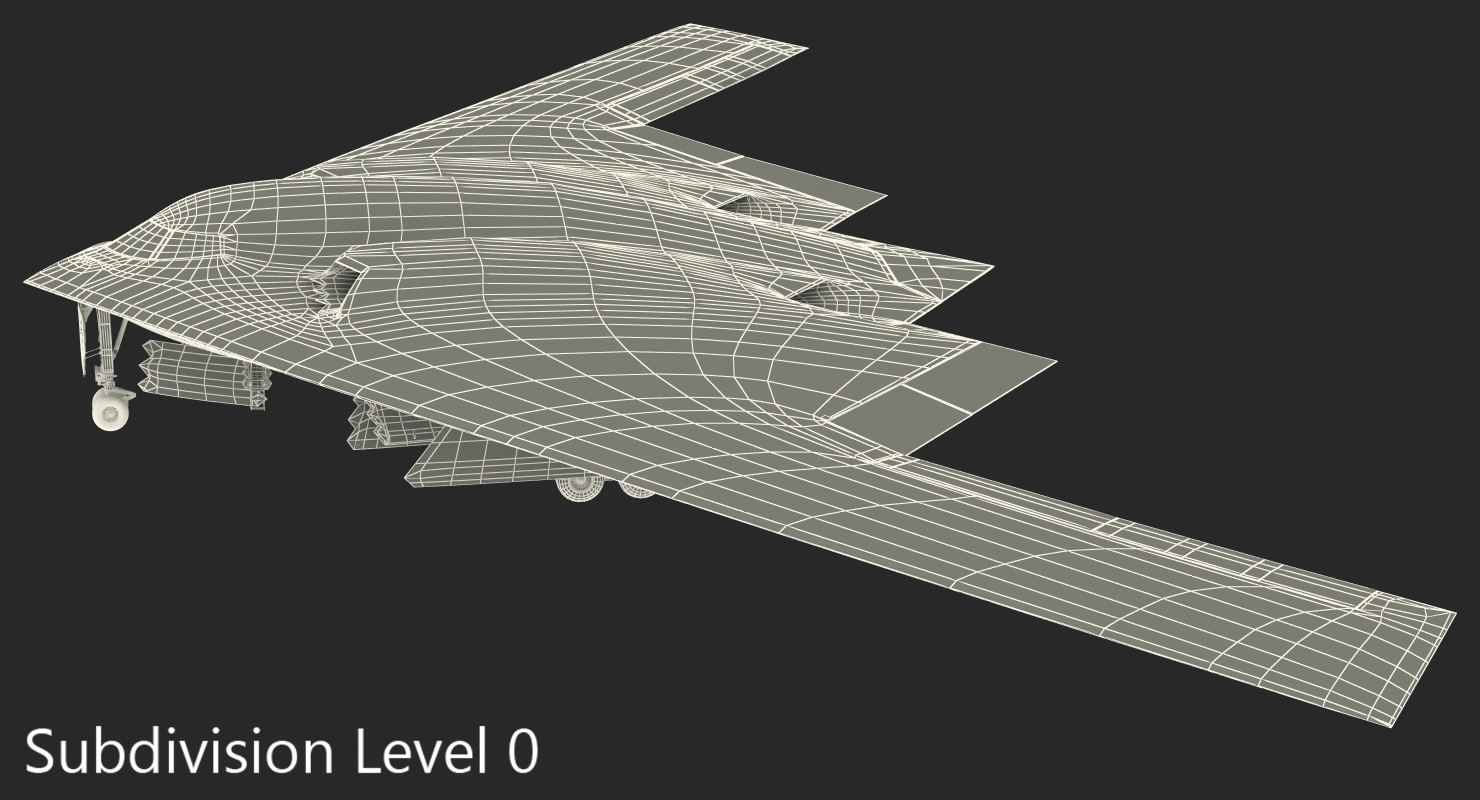 Stealth Bomber B 2 Spirit Rigged 3D