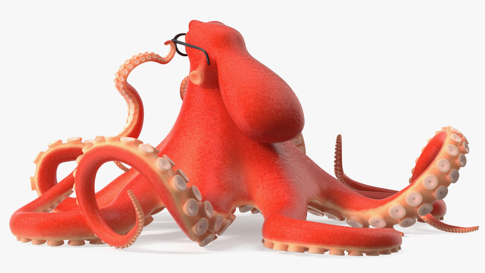 3D Octopus Character Wearing Glasses model