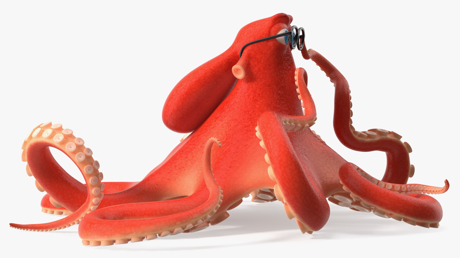 3D Octopus Character Wearing Glasses model