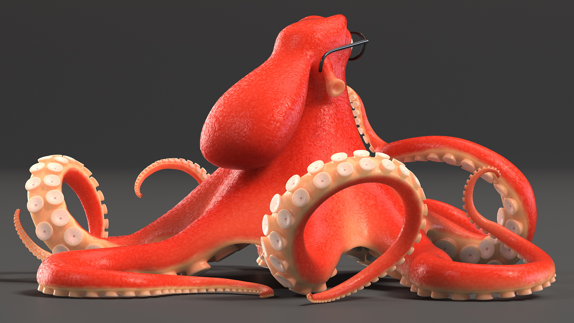 3D Octopus Character Wearing Glasses model