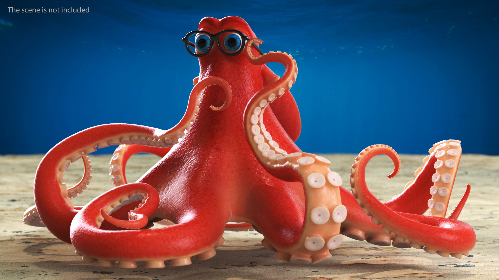 3D Octopus Character Wearing Glasses model