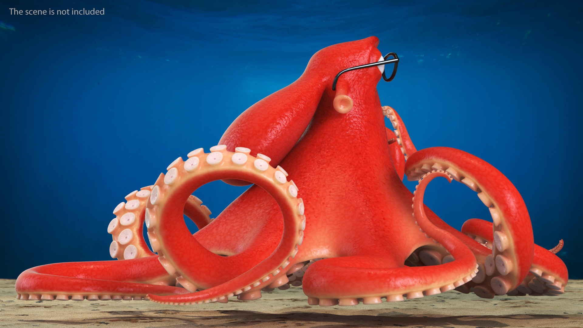 3D Octopus Character Wearing Glasses model