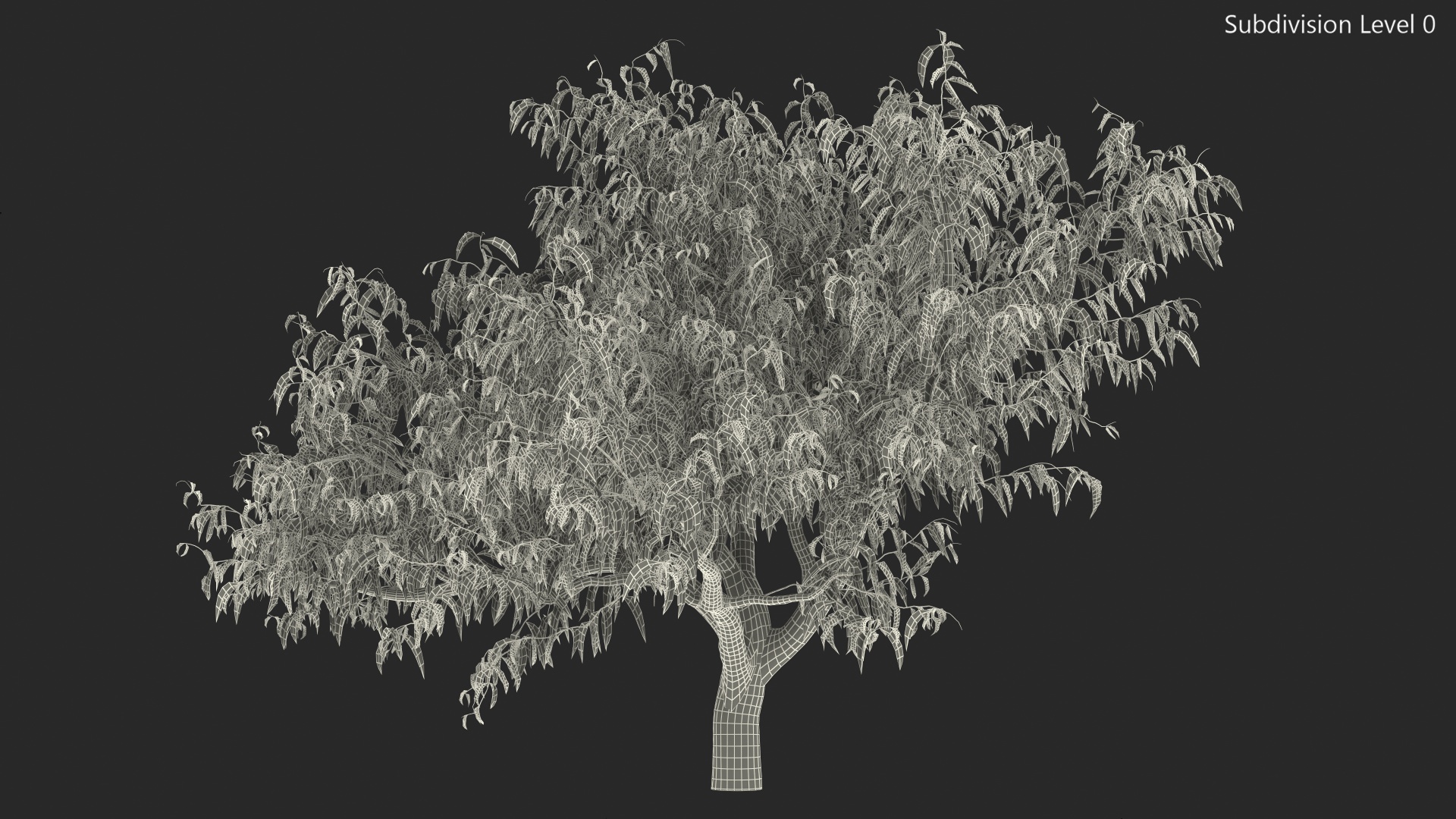 3D model Peach Tree