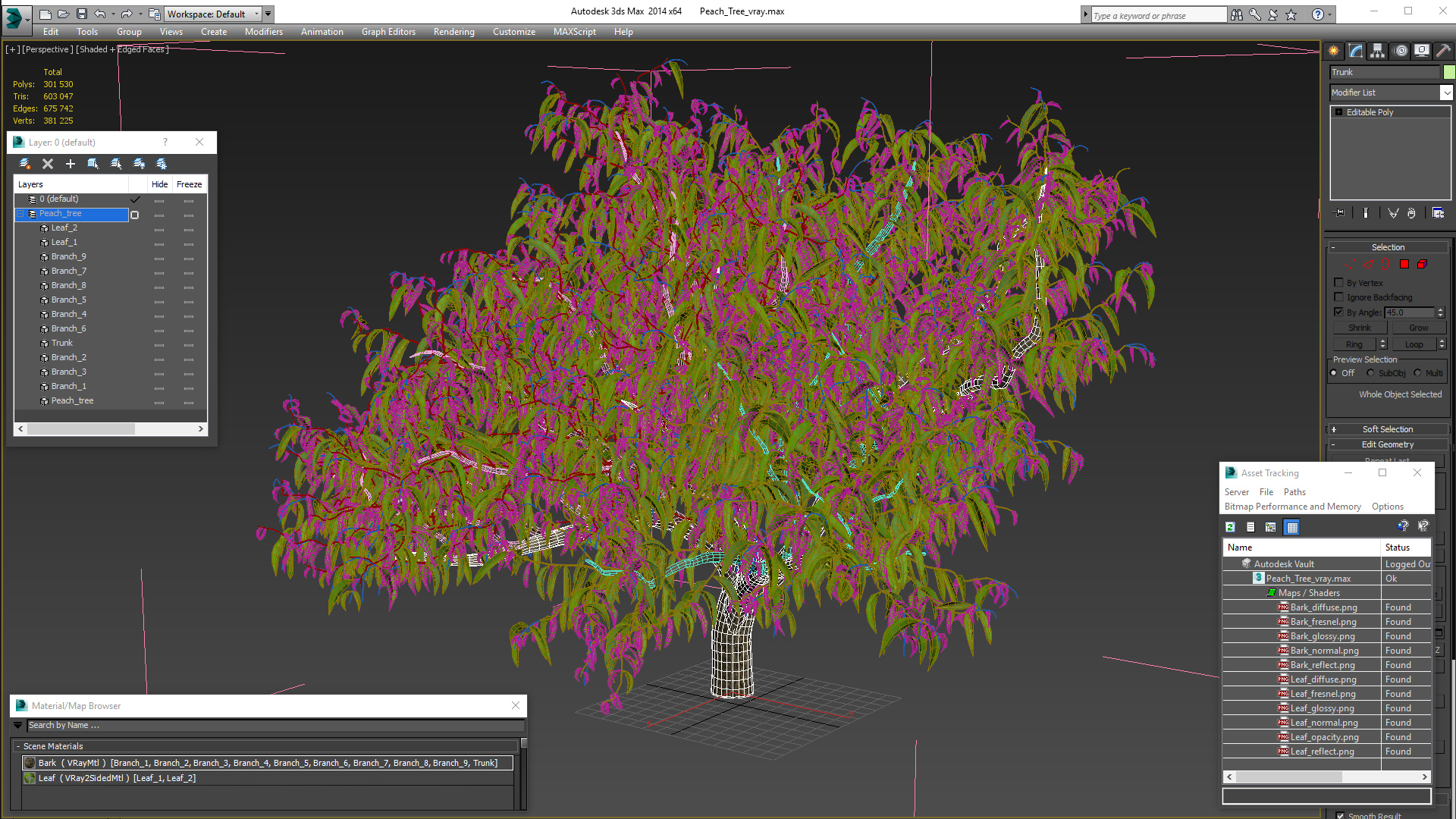 3D model Peach Tree