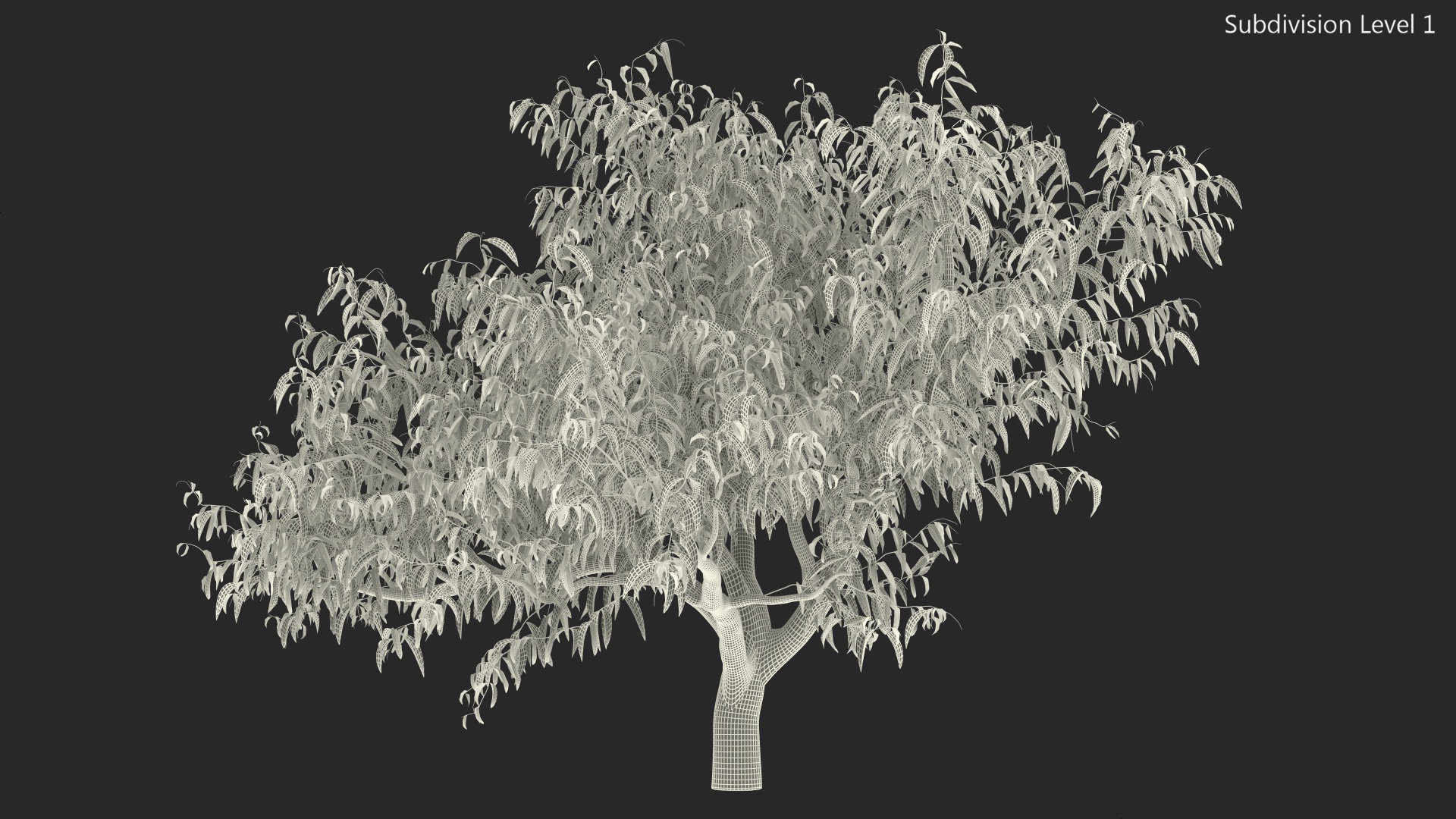 3D model Peach Tree