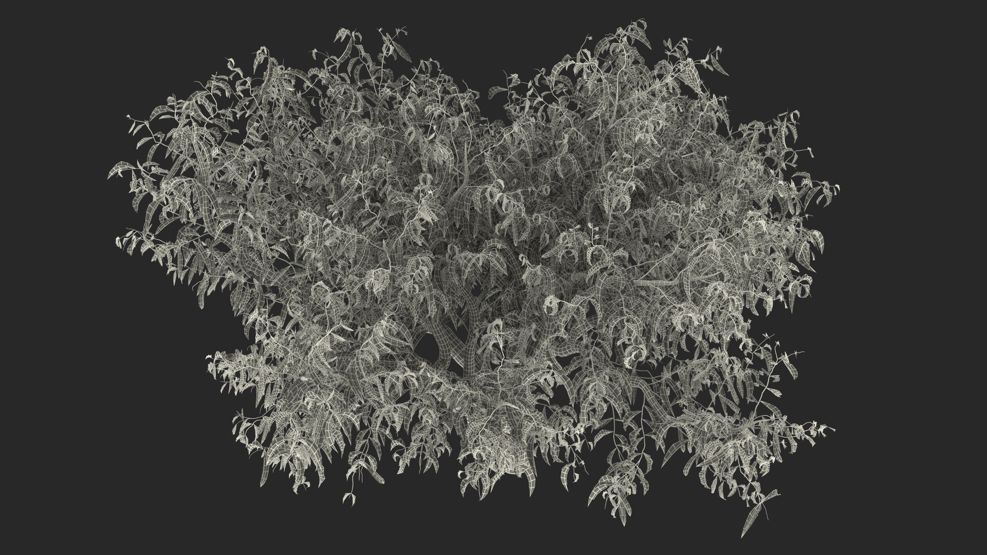 3D model Peach Tree