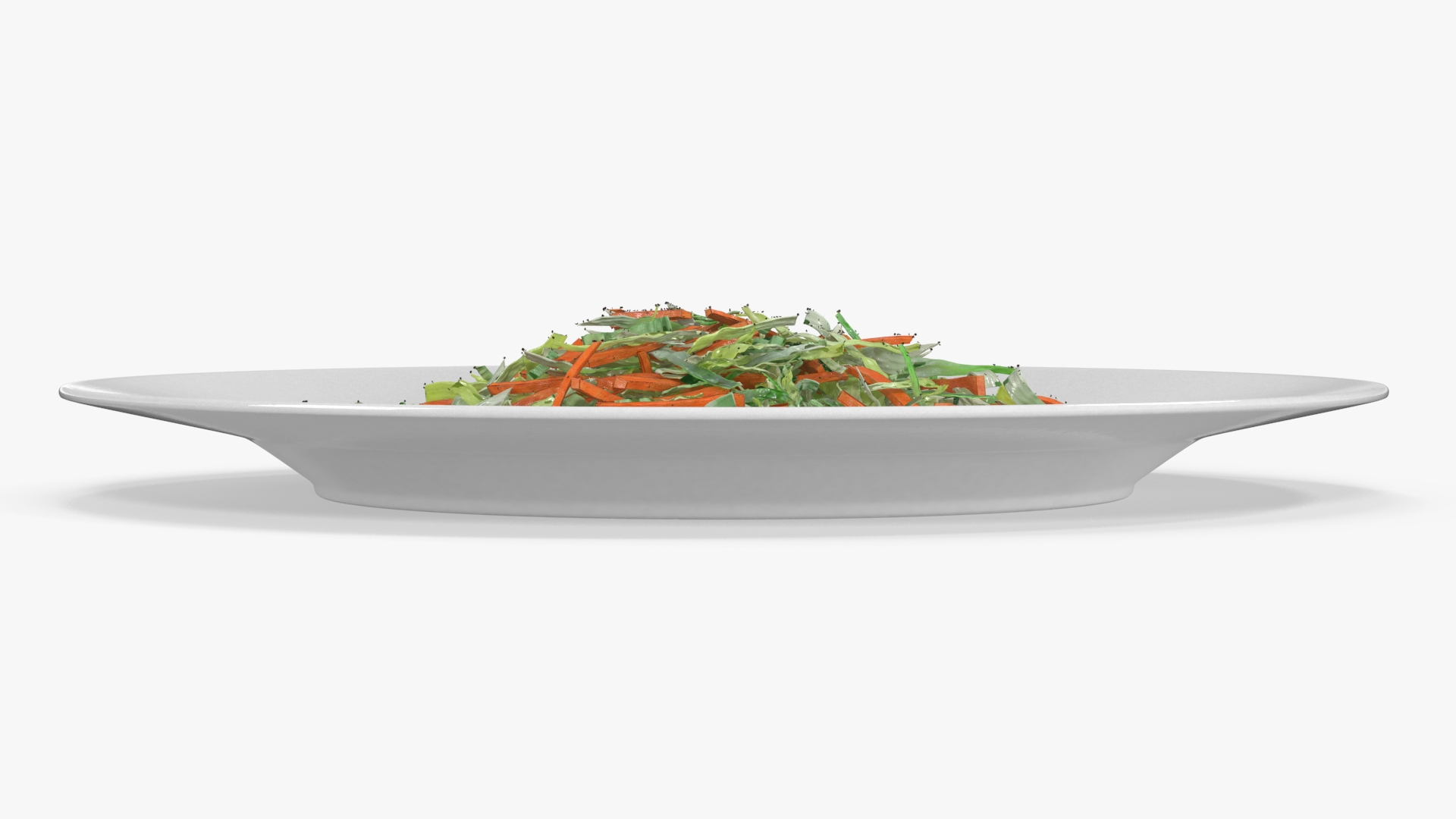 3D model Vegetable Salad on White Plate