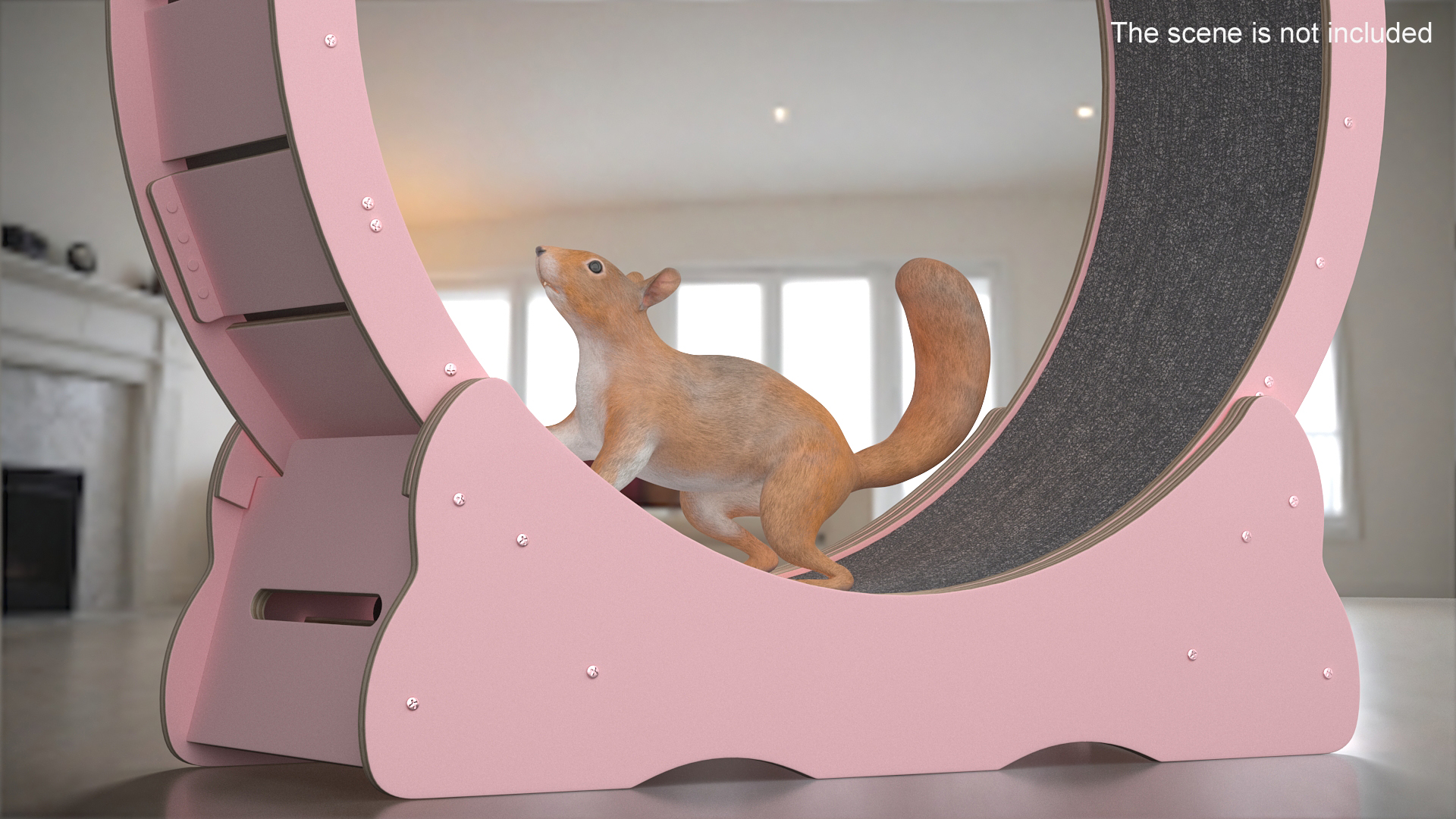 Squirrel in Pet Running Wheel 3D model