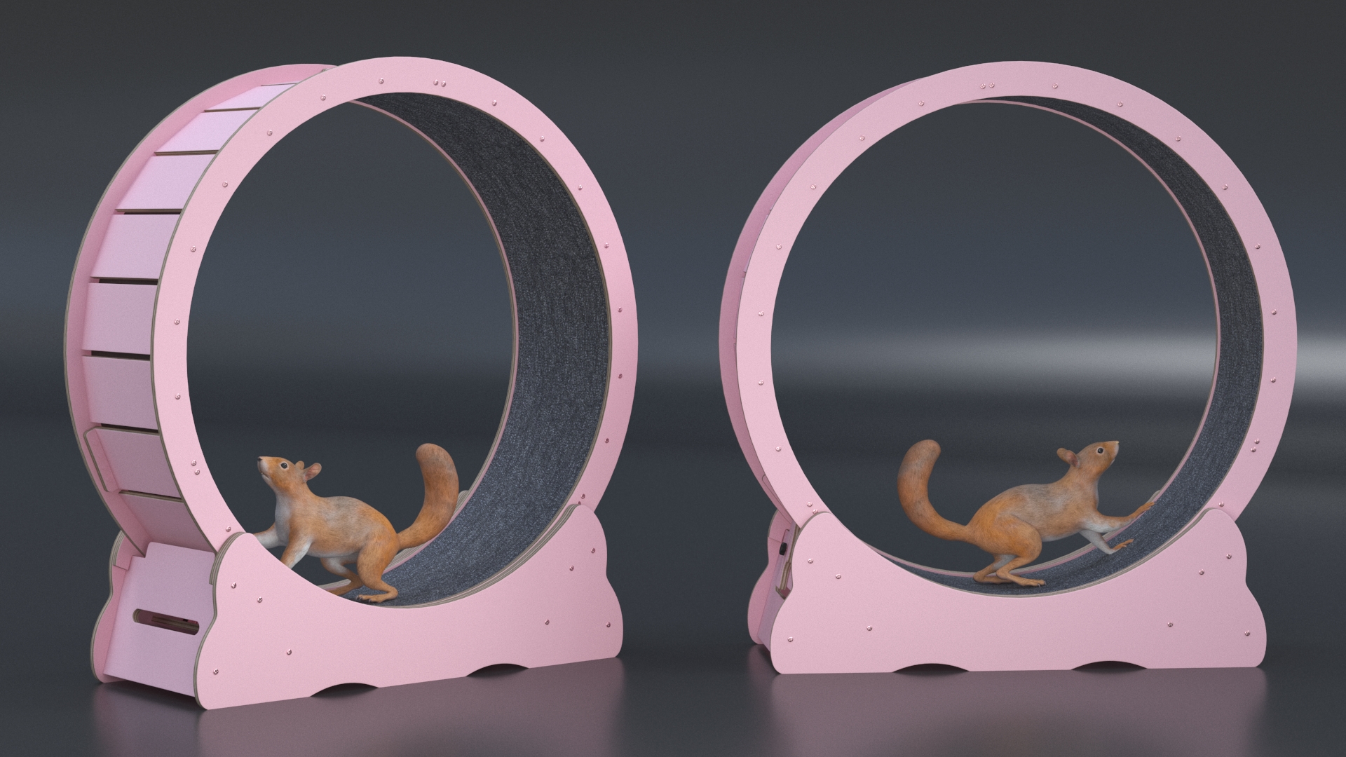 Squirrel in Pet Running Wheel 3D model