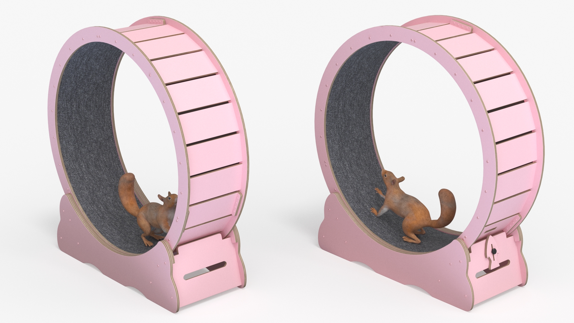 Squirrel in Pet Running Wheel 3D model