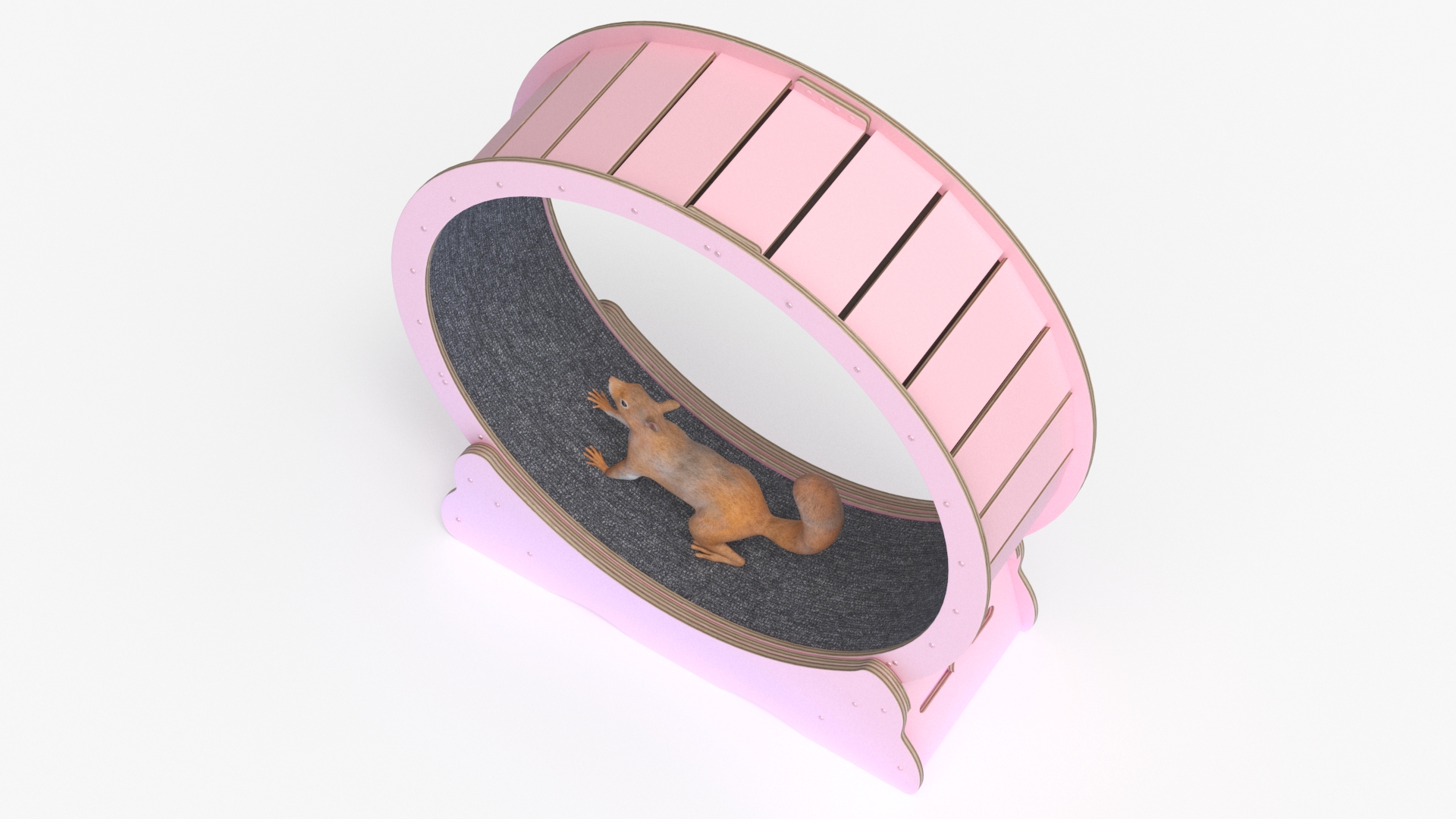 Squirrel in Pet Running Wheel 3D model