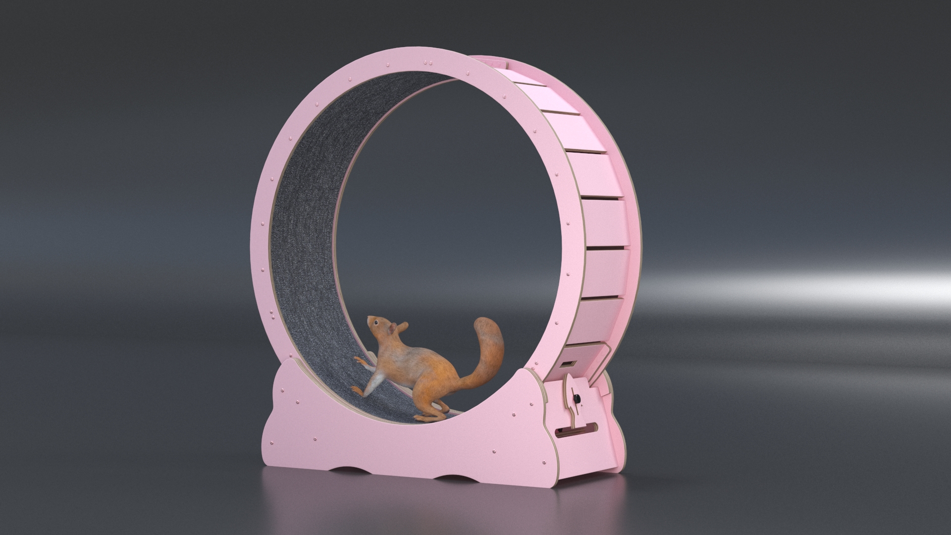 Squirrel in Pet Running Wheel 3D model