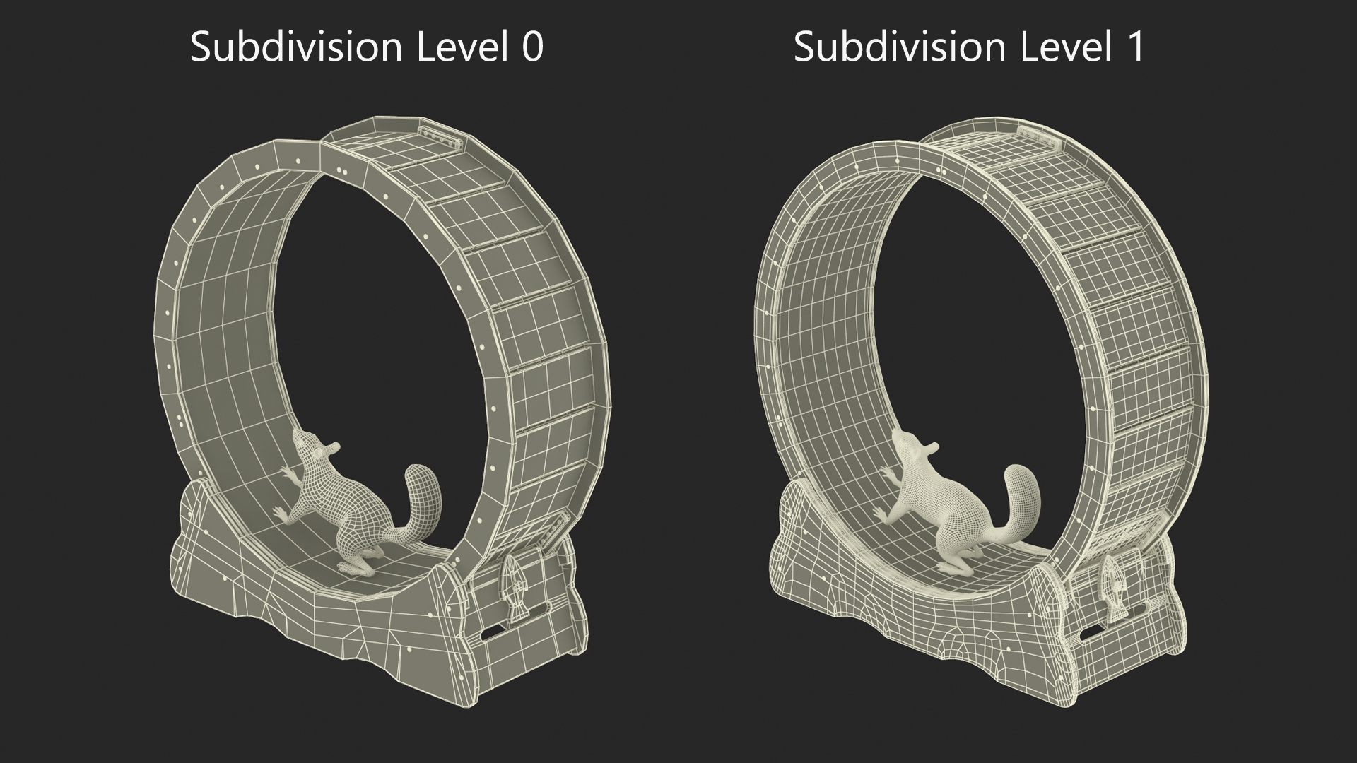 Squirrel in Pet Running Wheel 3D model