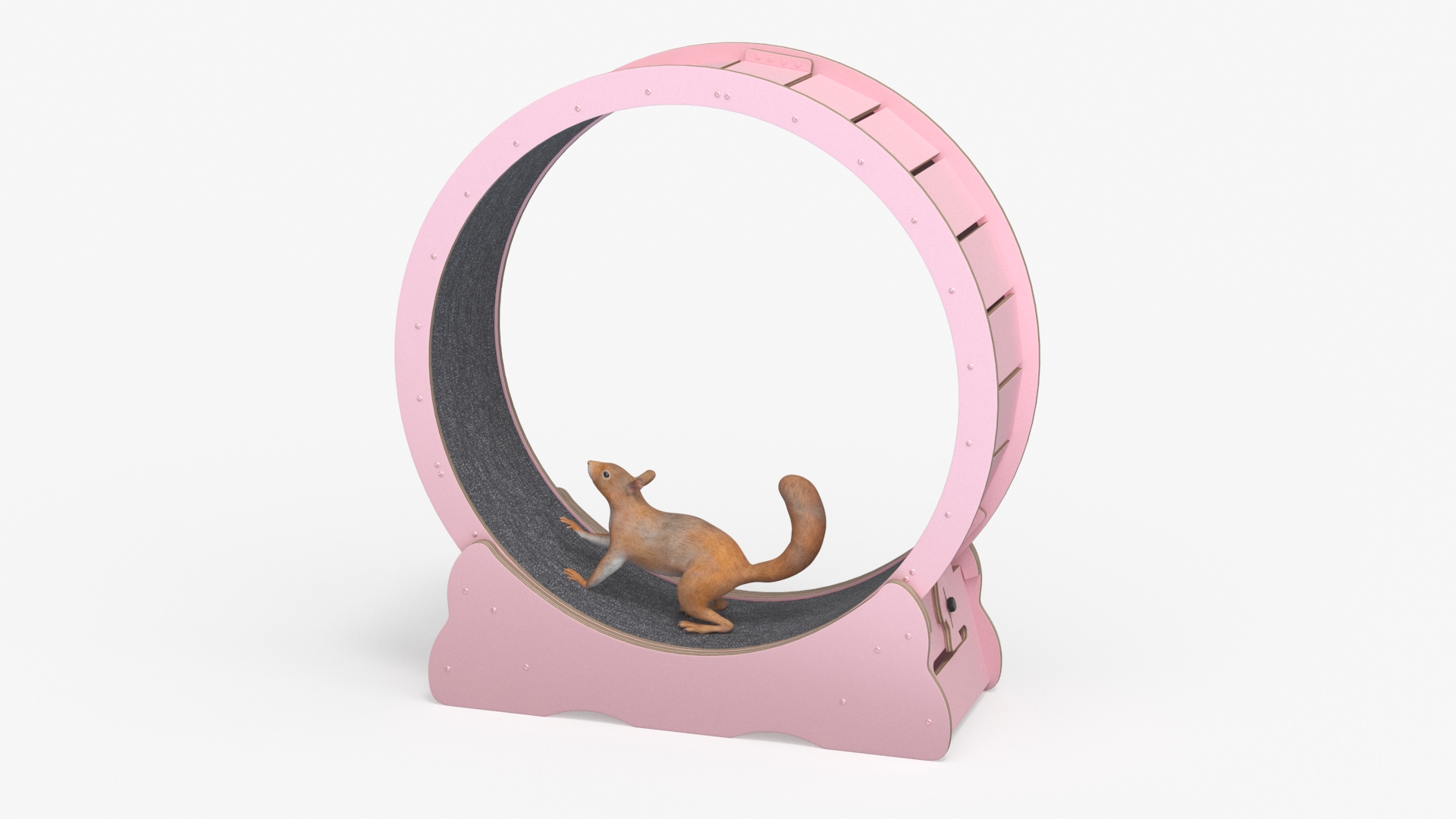 Squirrel in Pet Running Wheel 3D model