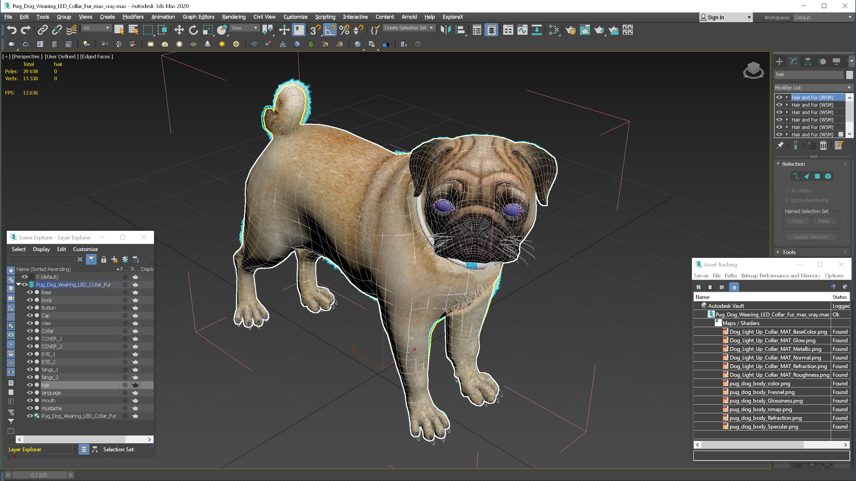 3D model Pug Dog Wearing LED Collar Fur