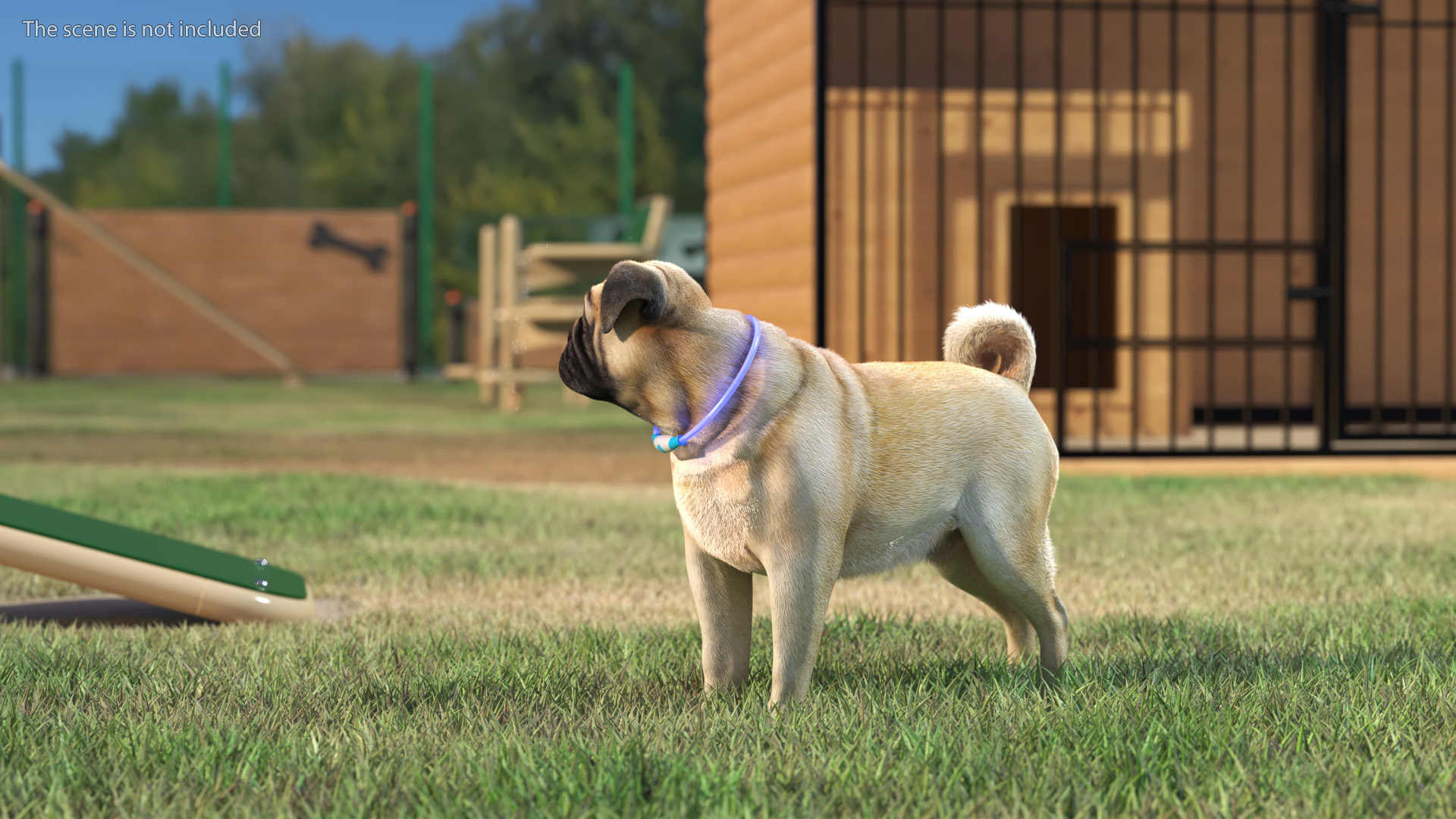 3D model Pug Dog Wearing LED Collar Fur