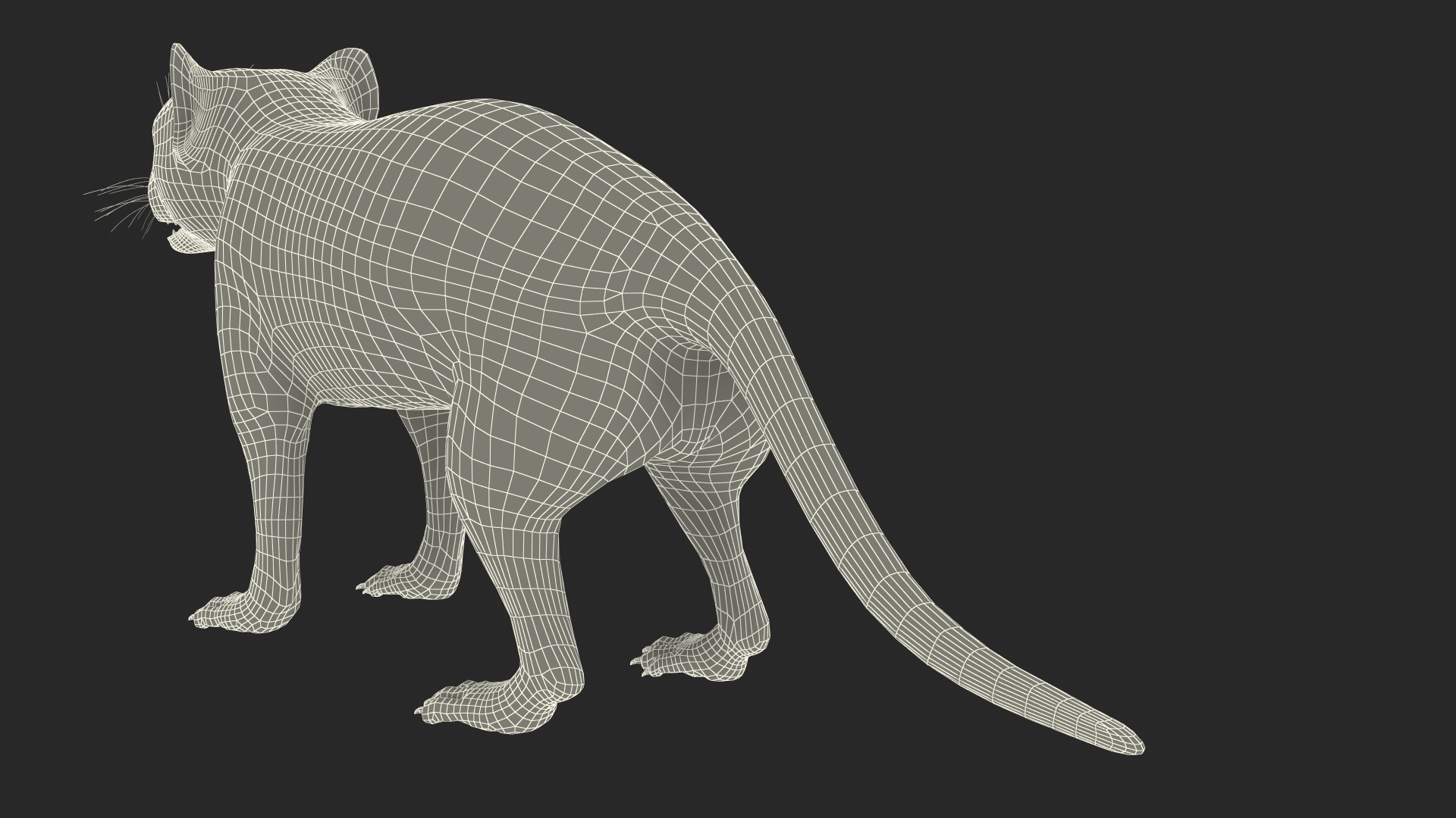 3D Tasmanian Devil Fur Rigged