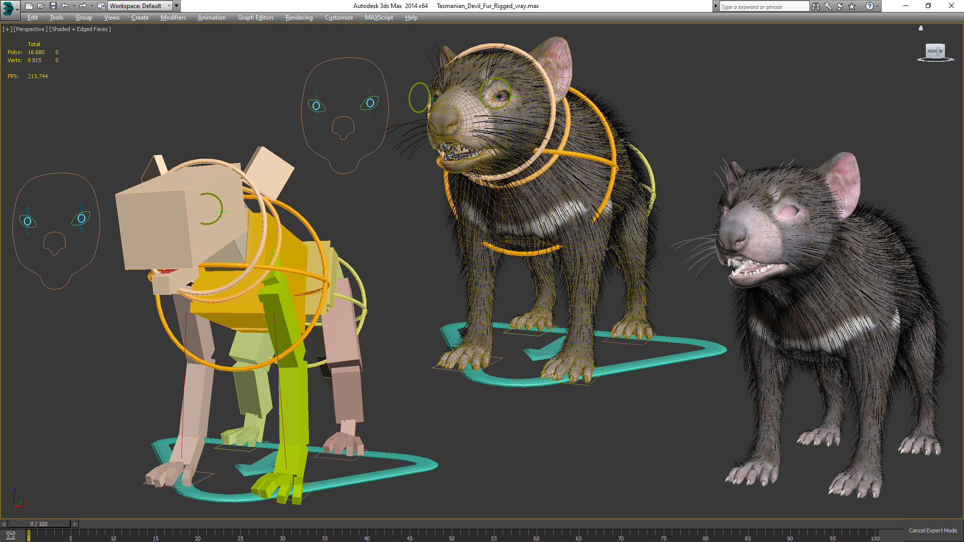 3D Tasmanian Devil Fur Rigged