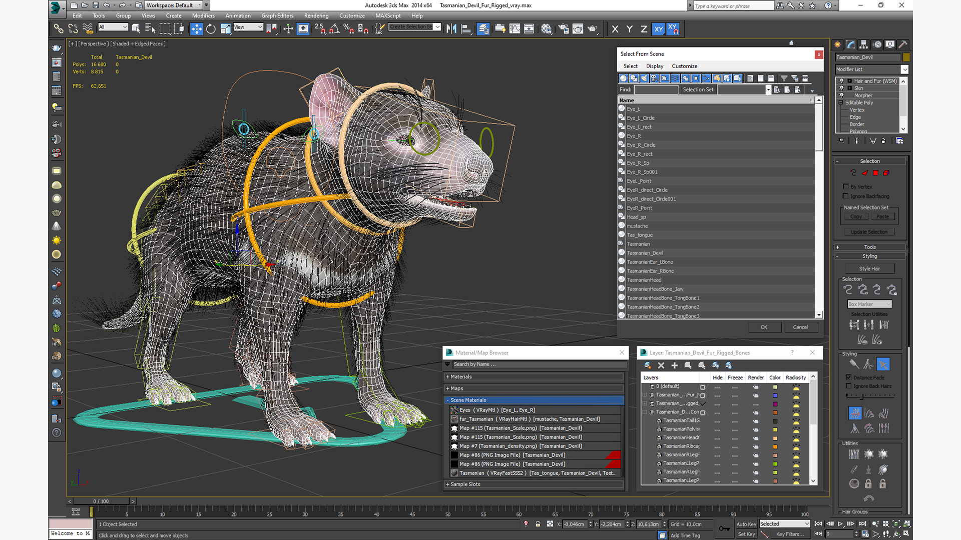 3D Tasmanian Devil Fur Rigged