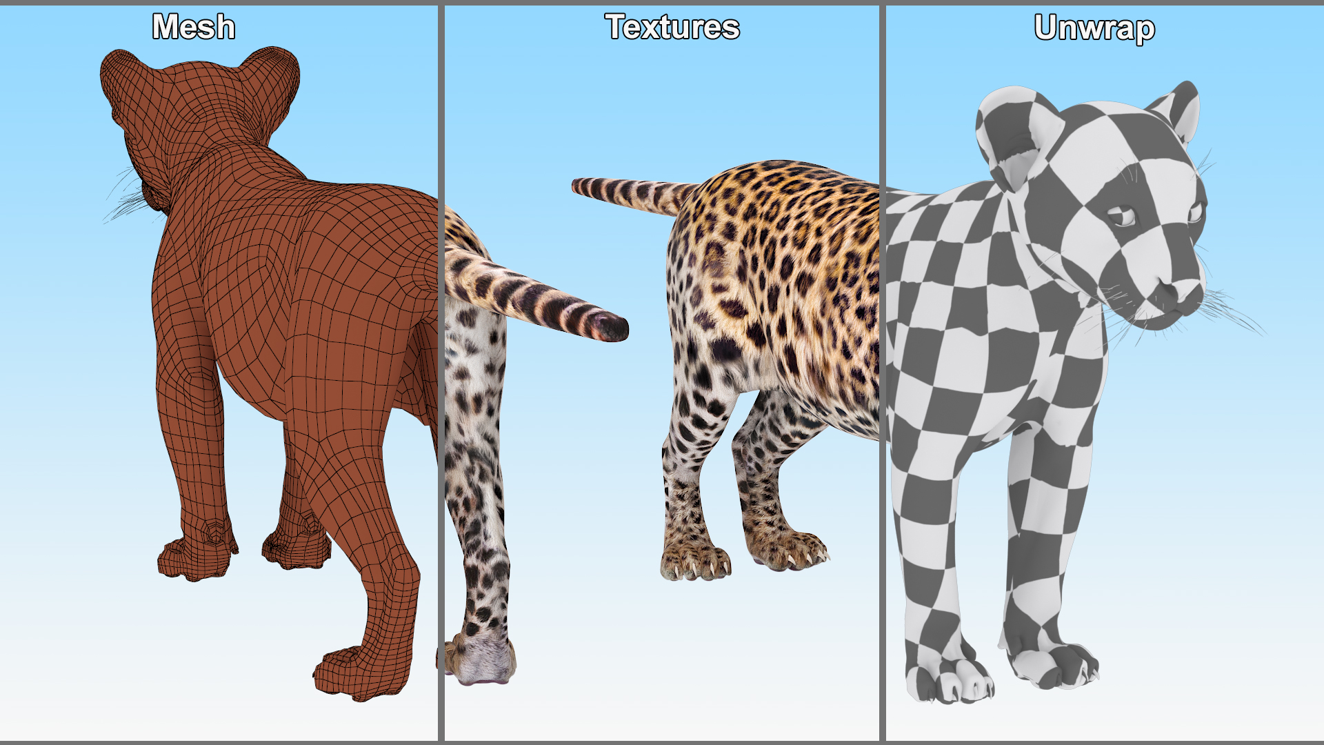 3D model Leopard Cub Standing Pose