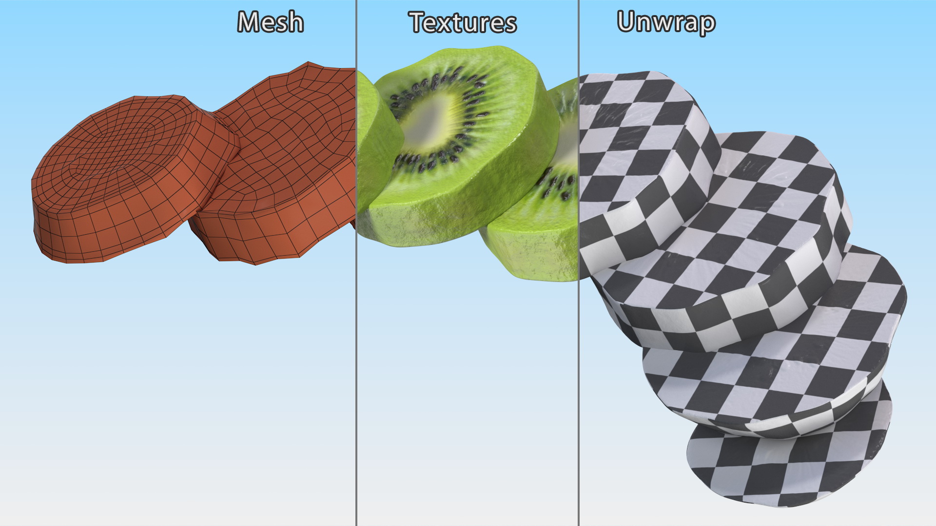 Kiwi Round Slices 3D